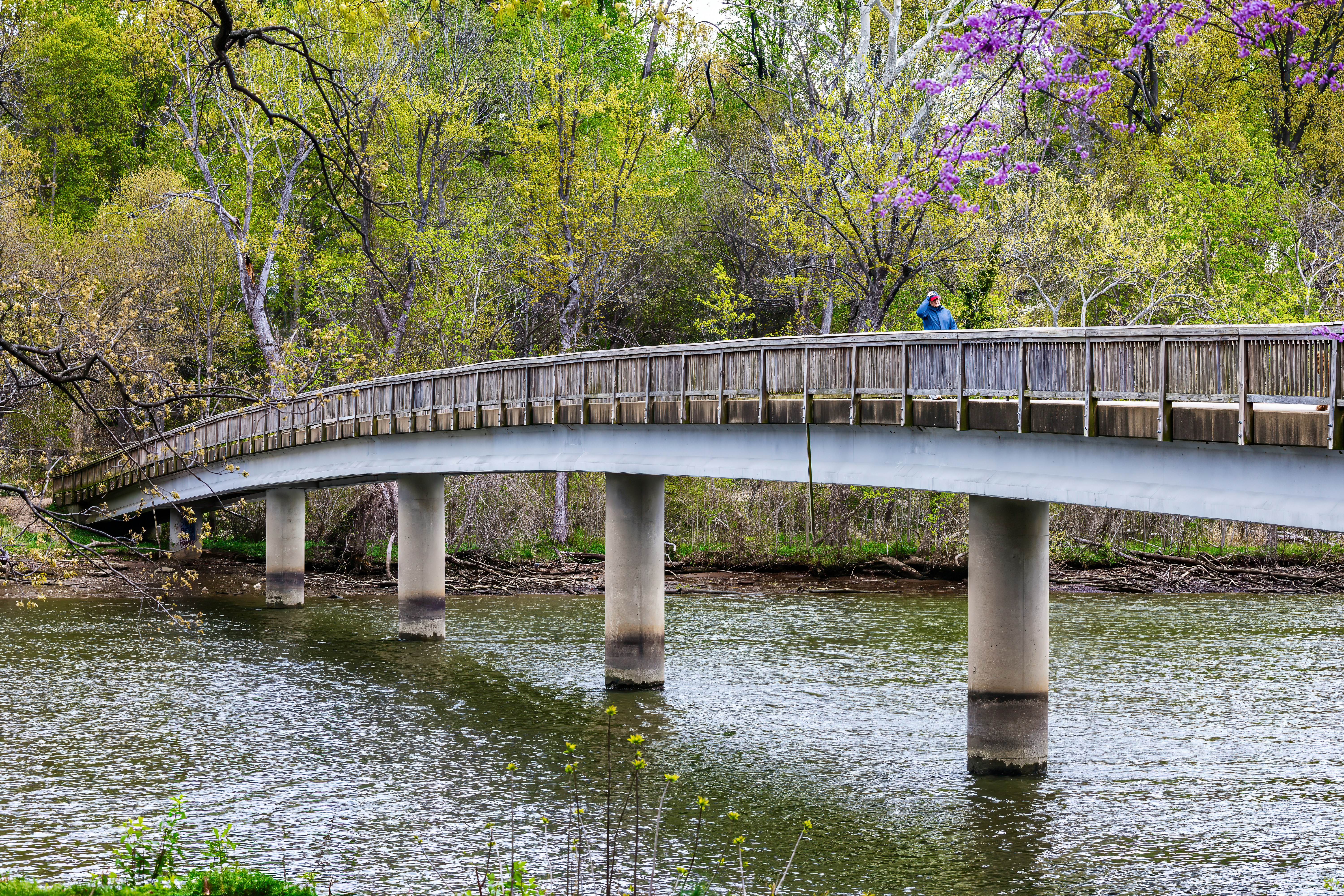 Wooden bridge over a river with trees