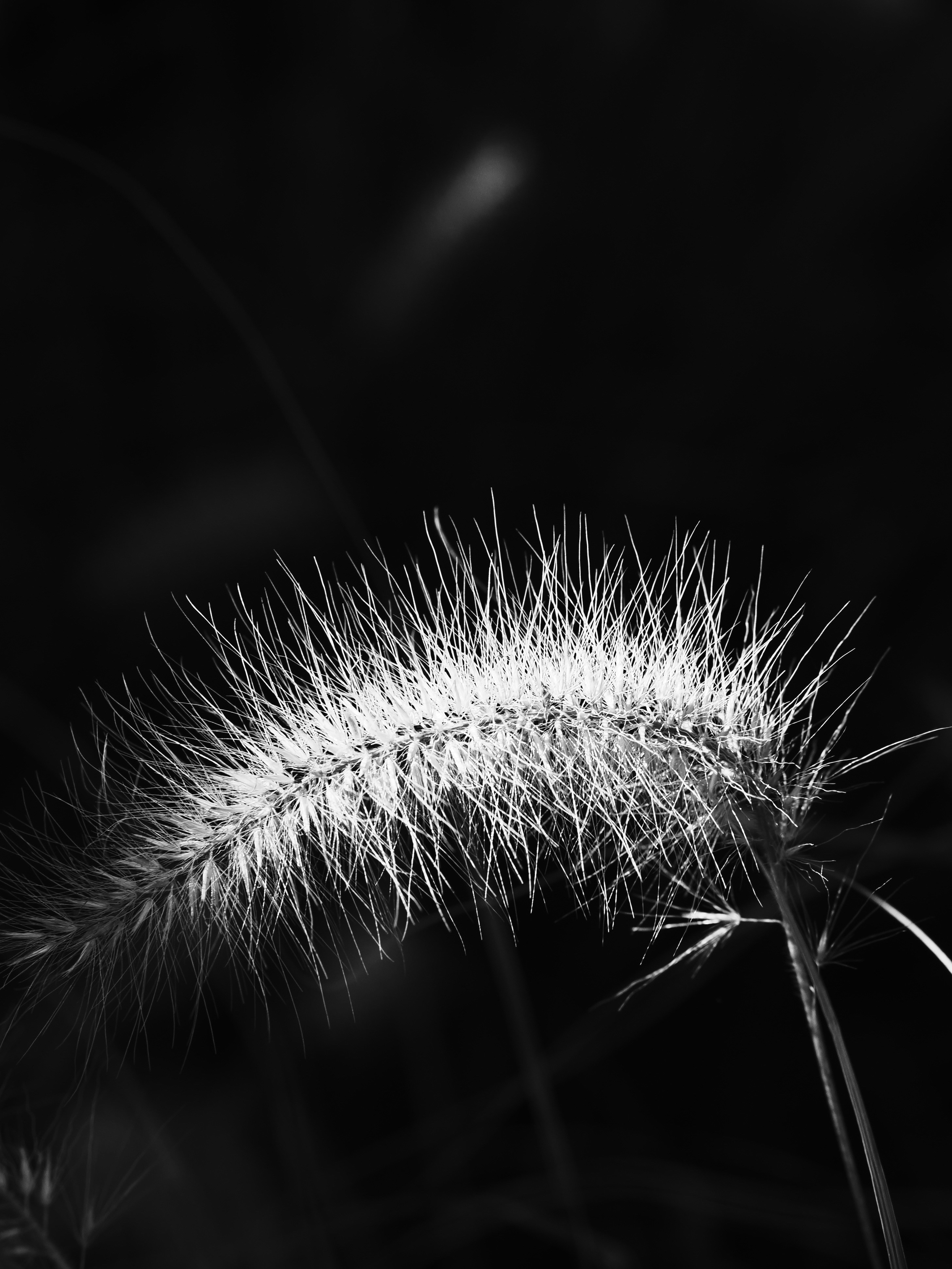 Photo by sschusterphotoart