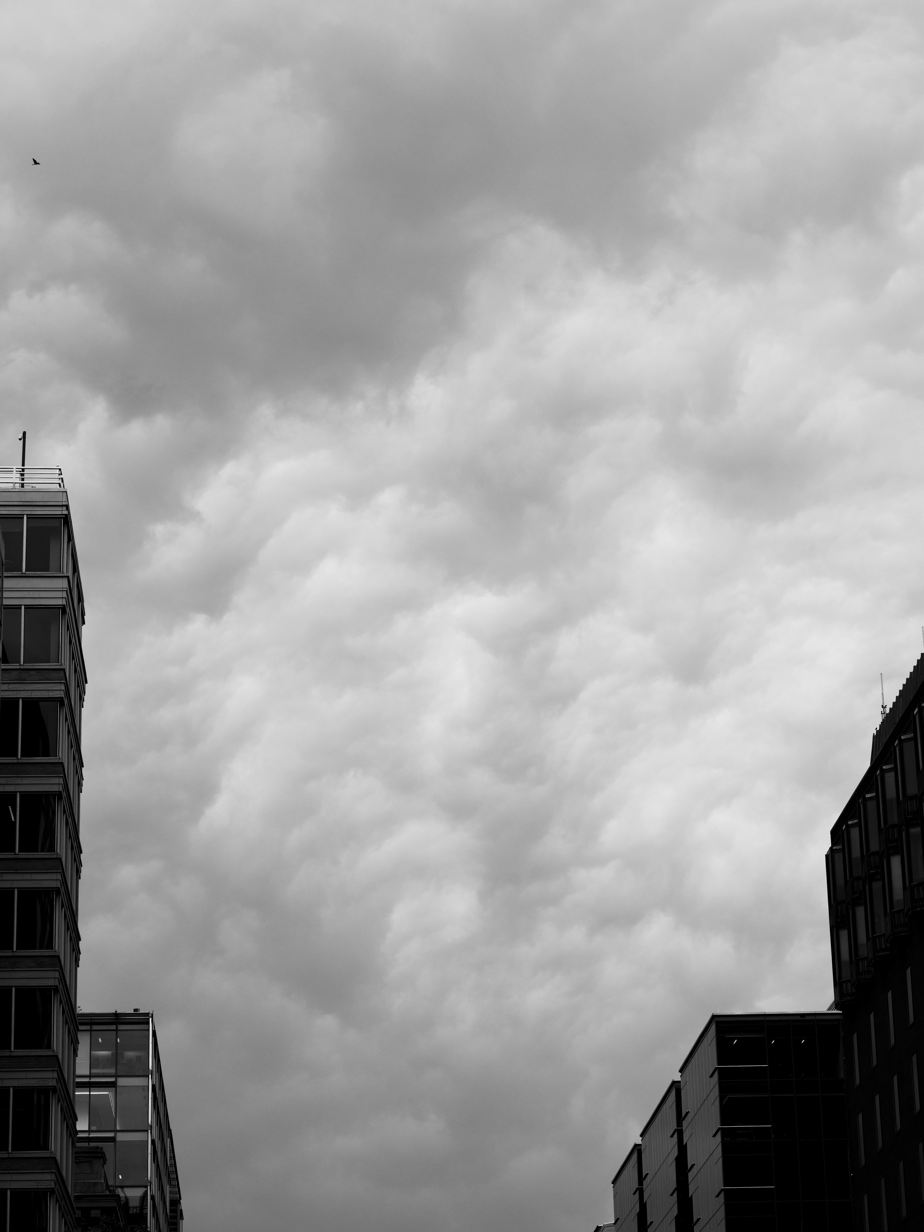 Photo by sschusterphotoart