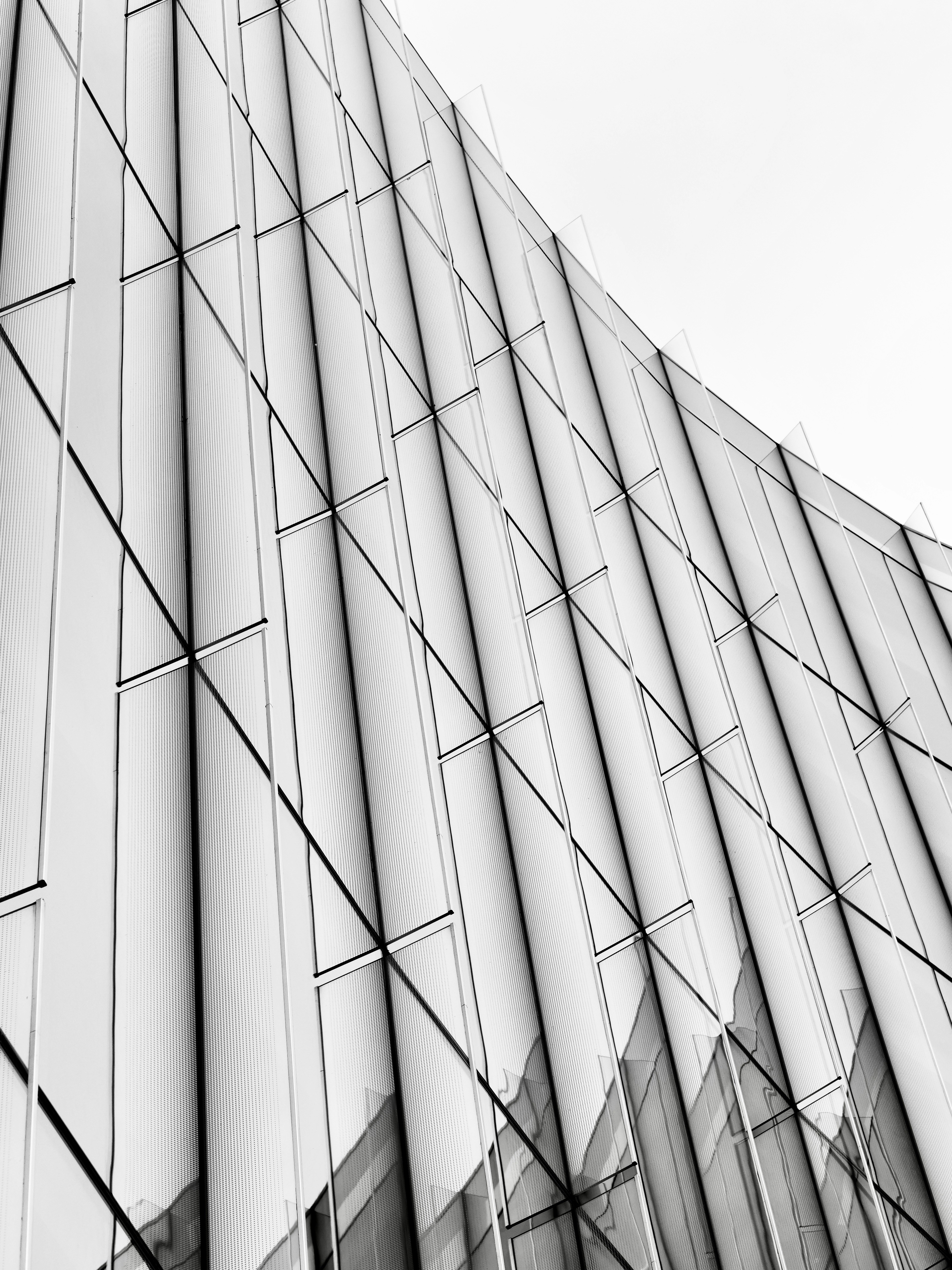 Photo by sschusterphotoart