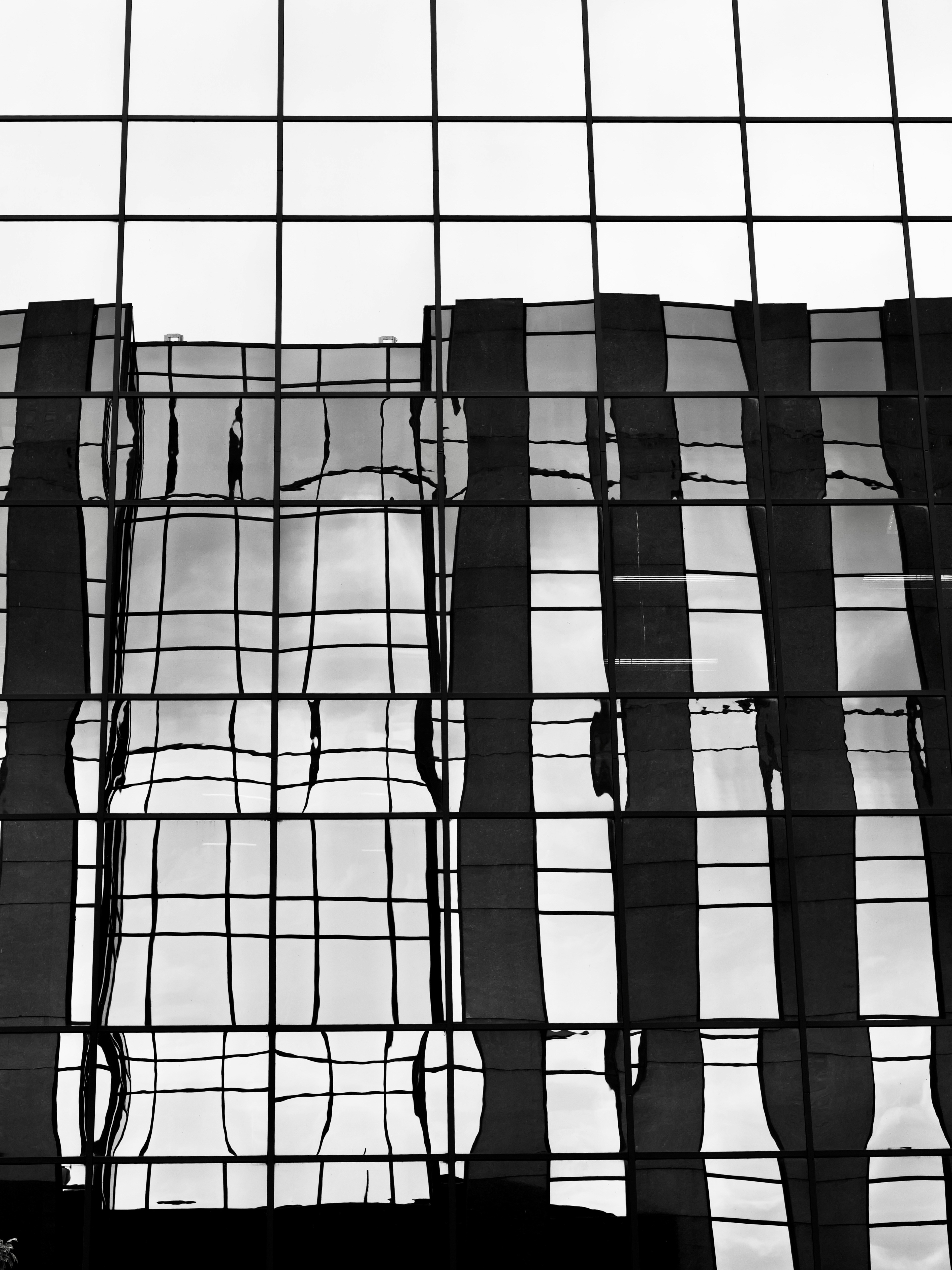 Photo by sschusterphotoart