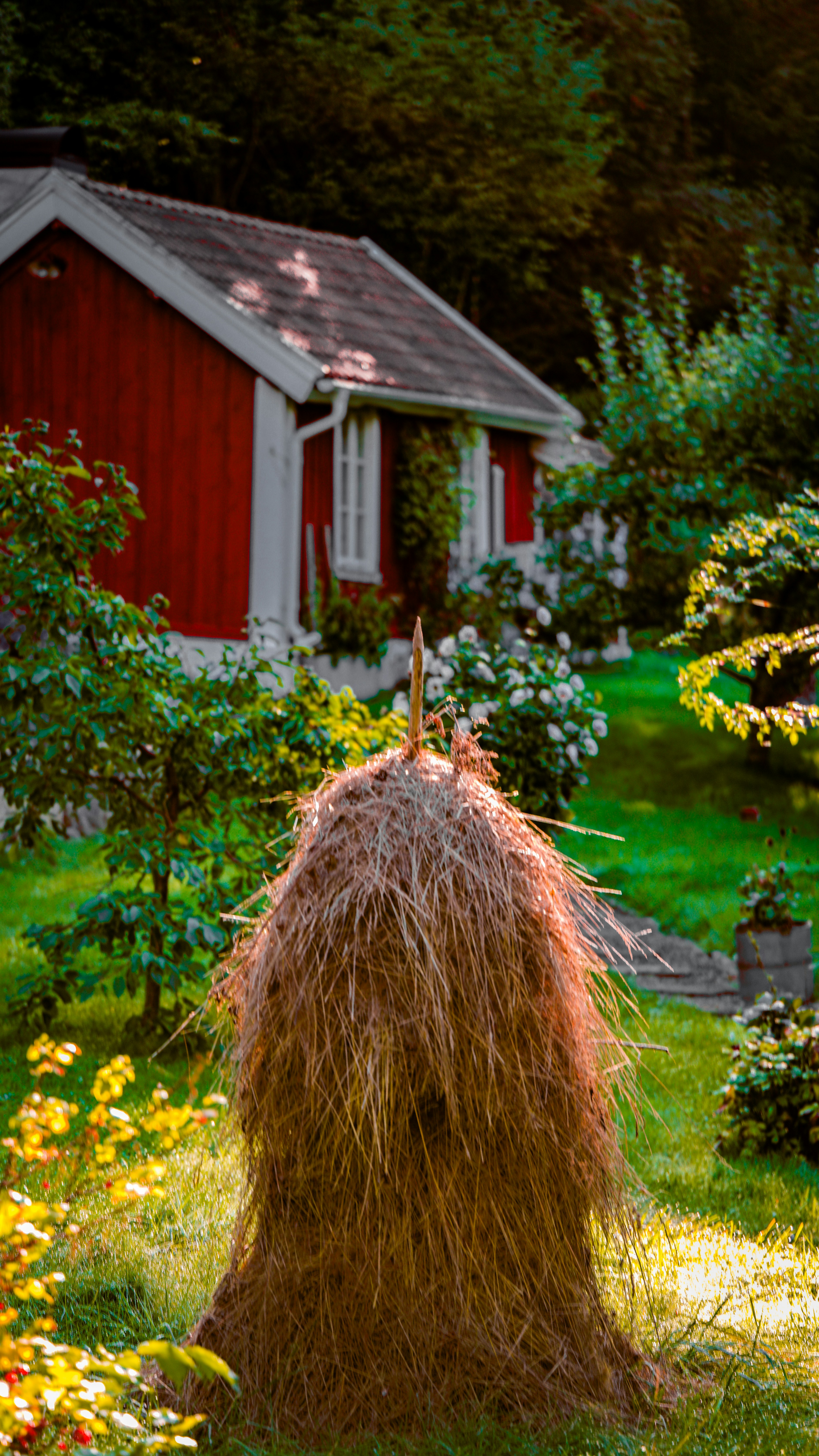 A haystack stands in front of a red house. photo – Free Garden Image on ...