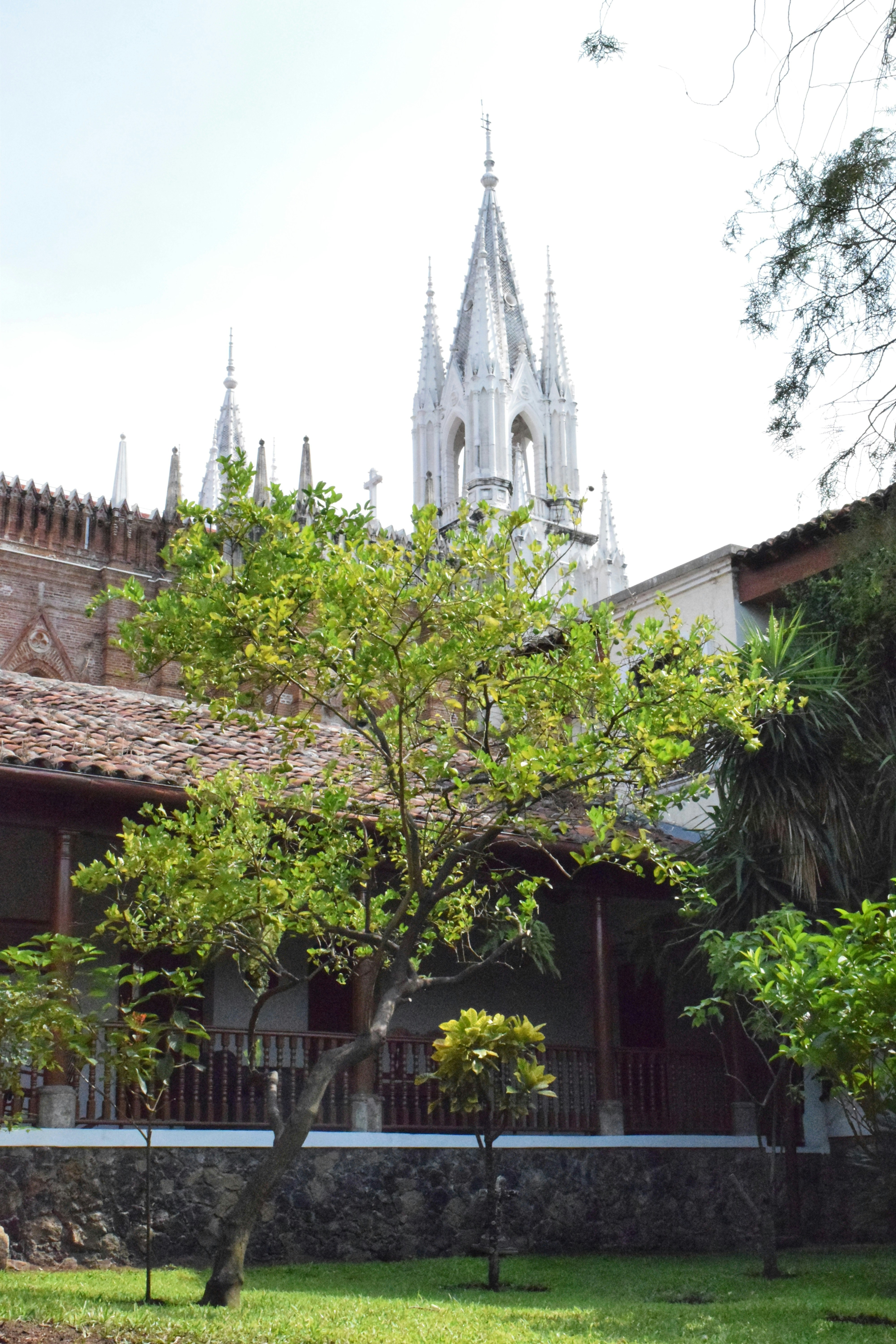 A white gothic church spire behind lush green trees.
