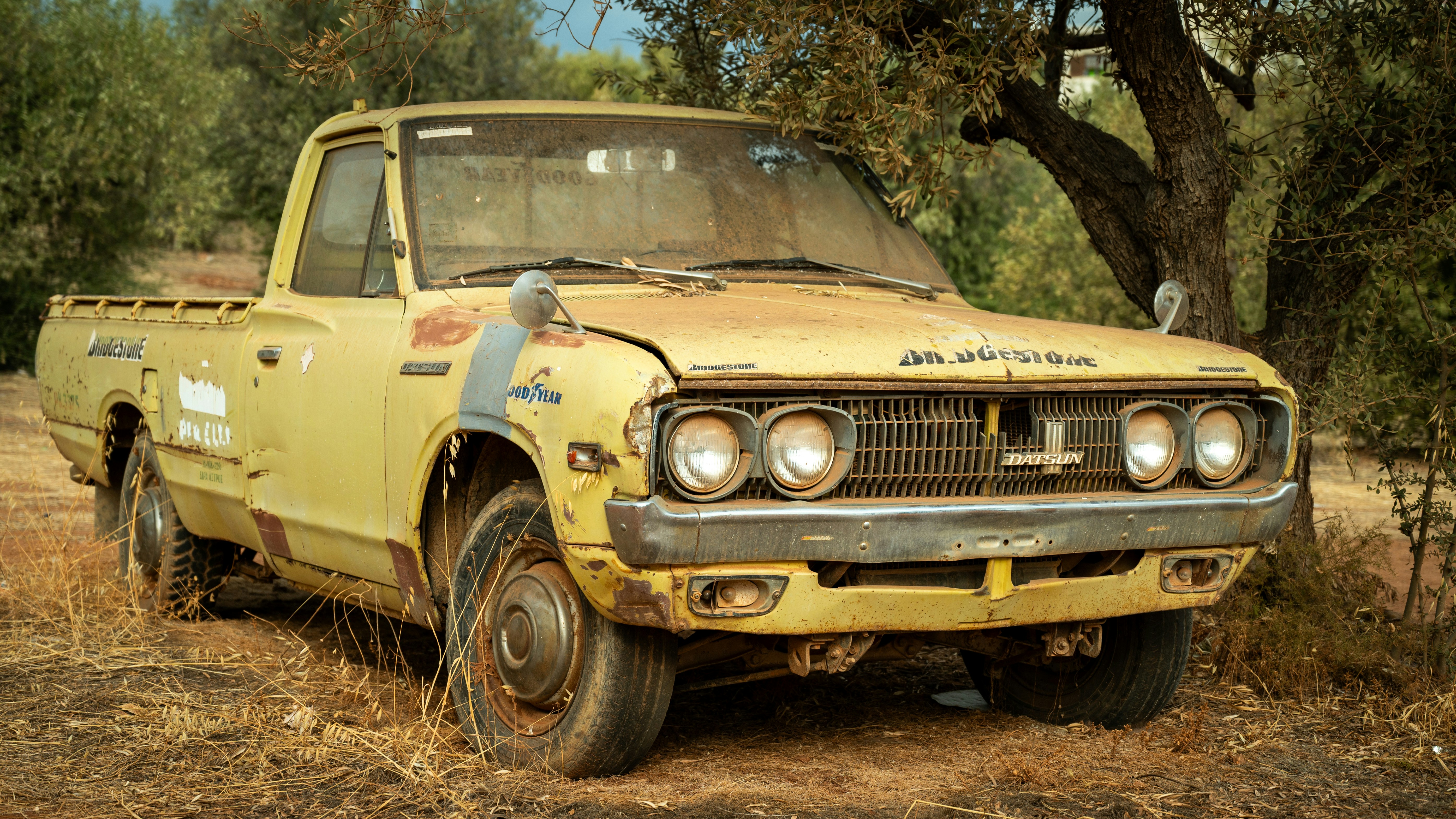 Photo by ruben_aster