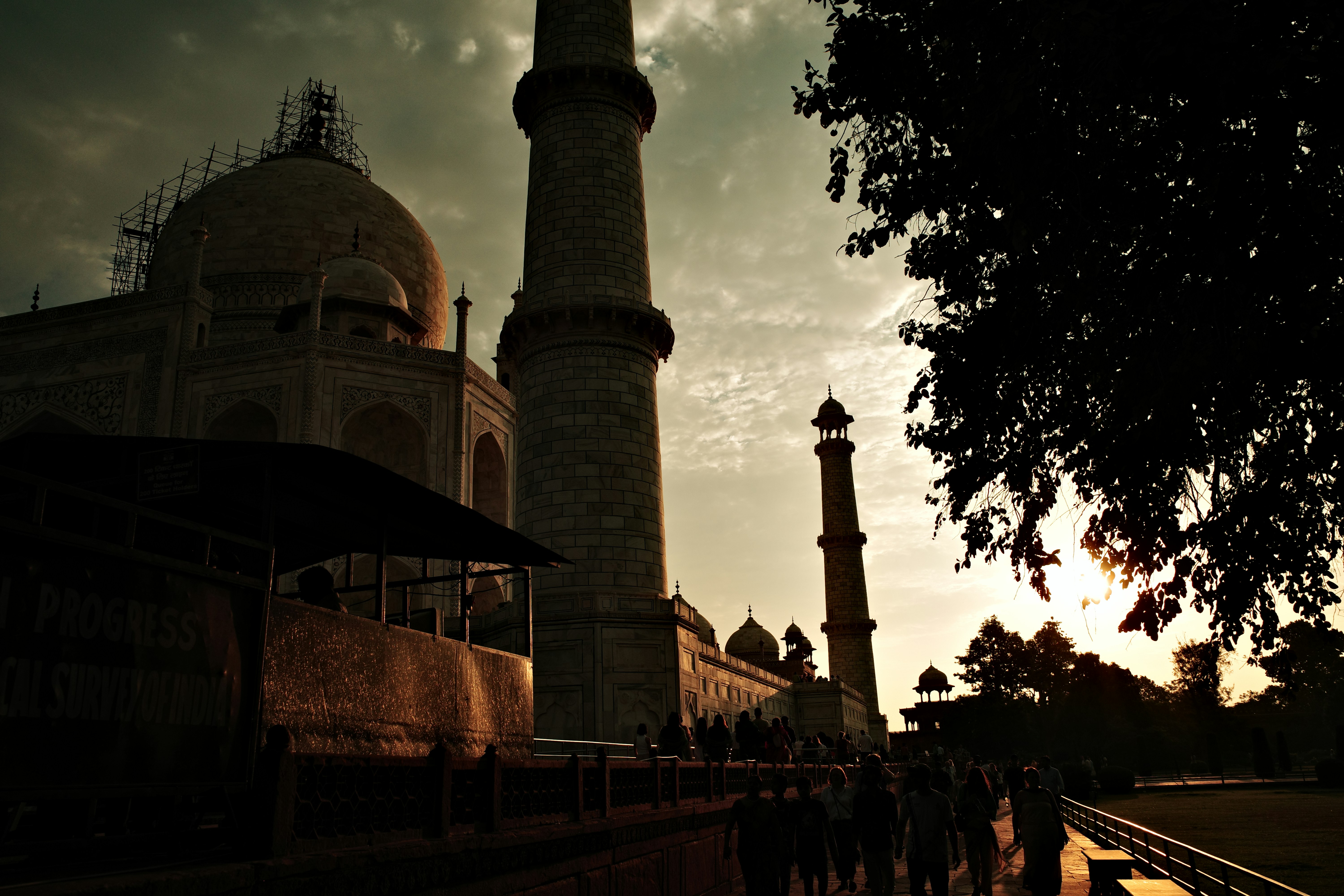 The taj mahal at sunset with silhouetted trees