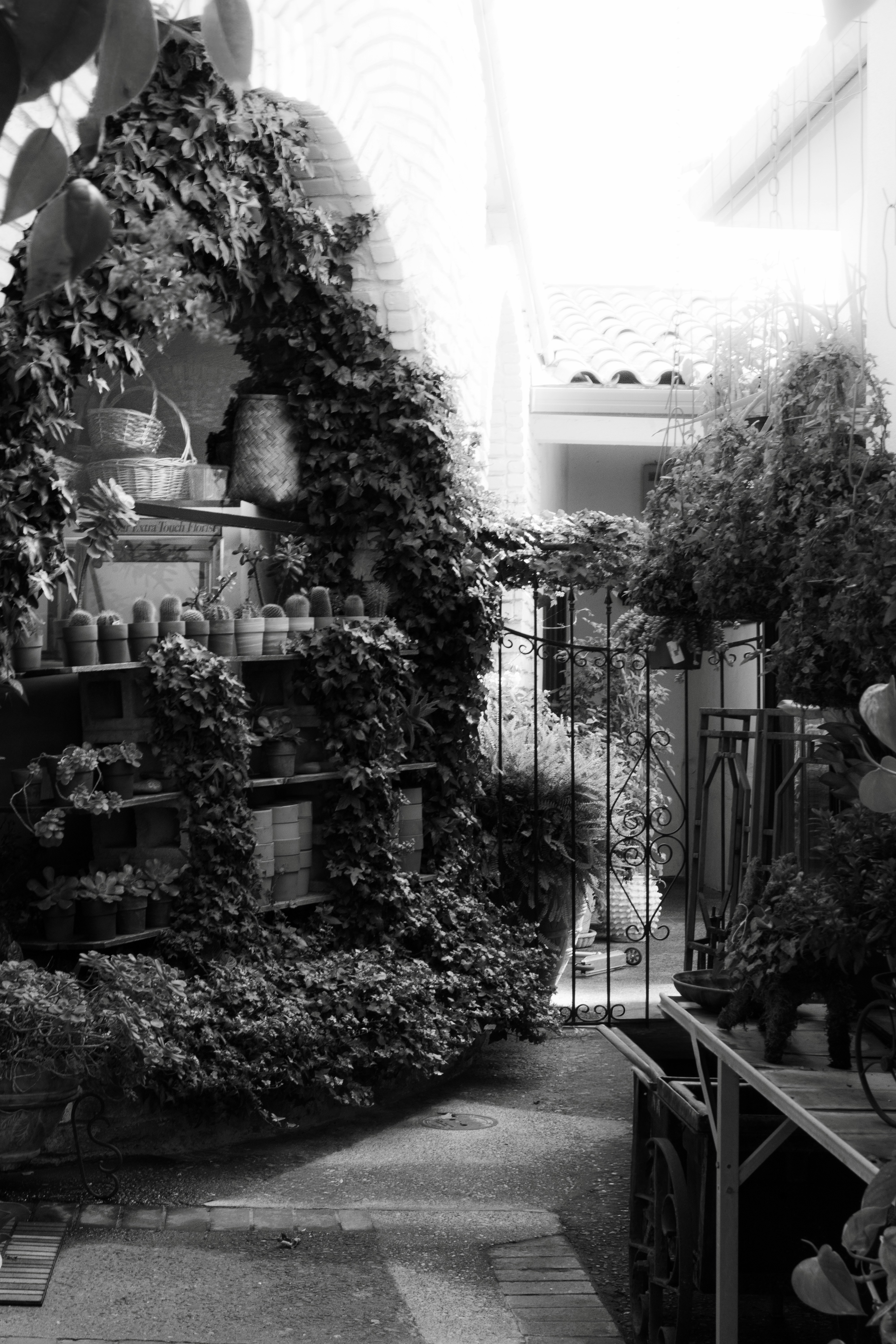 Photo by purpleice4496