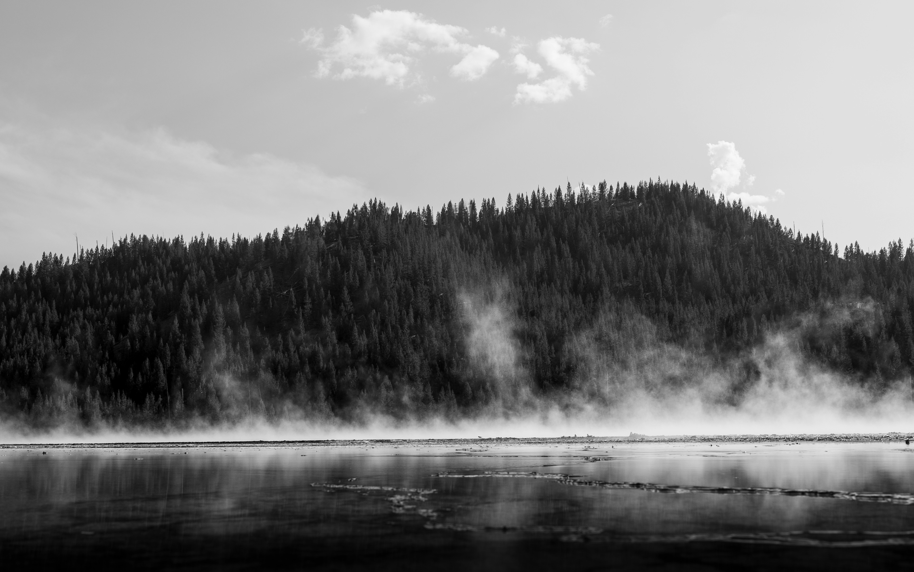 Photo by purpleice4496