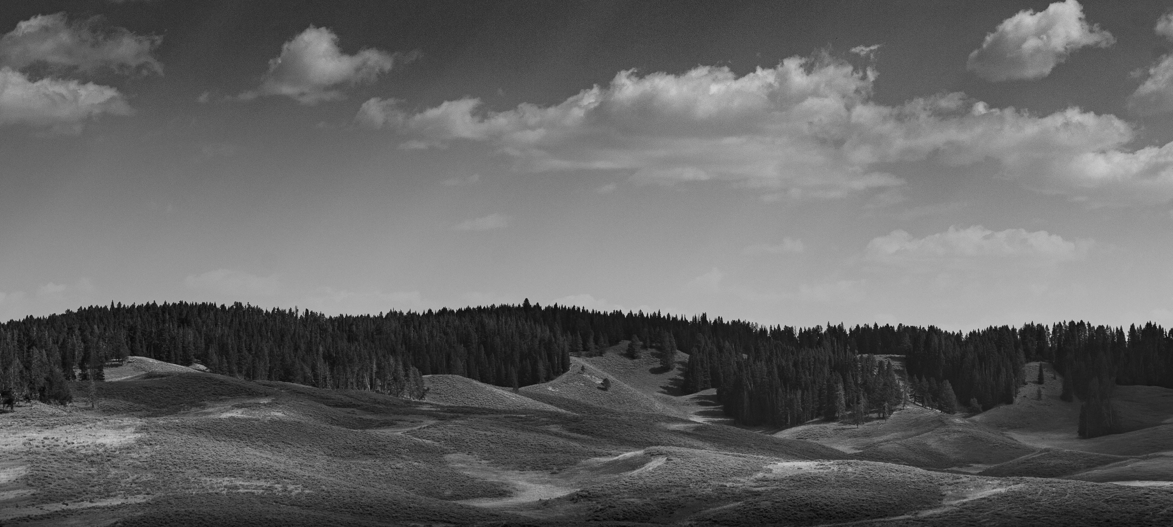 Photo by purpleice4496