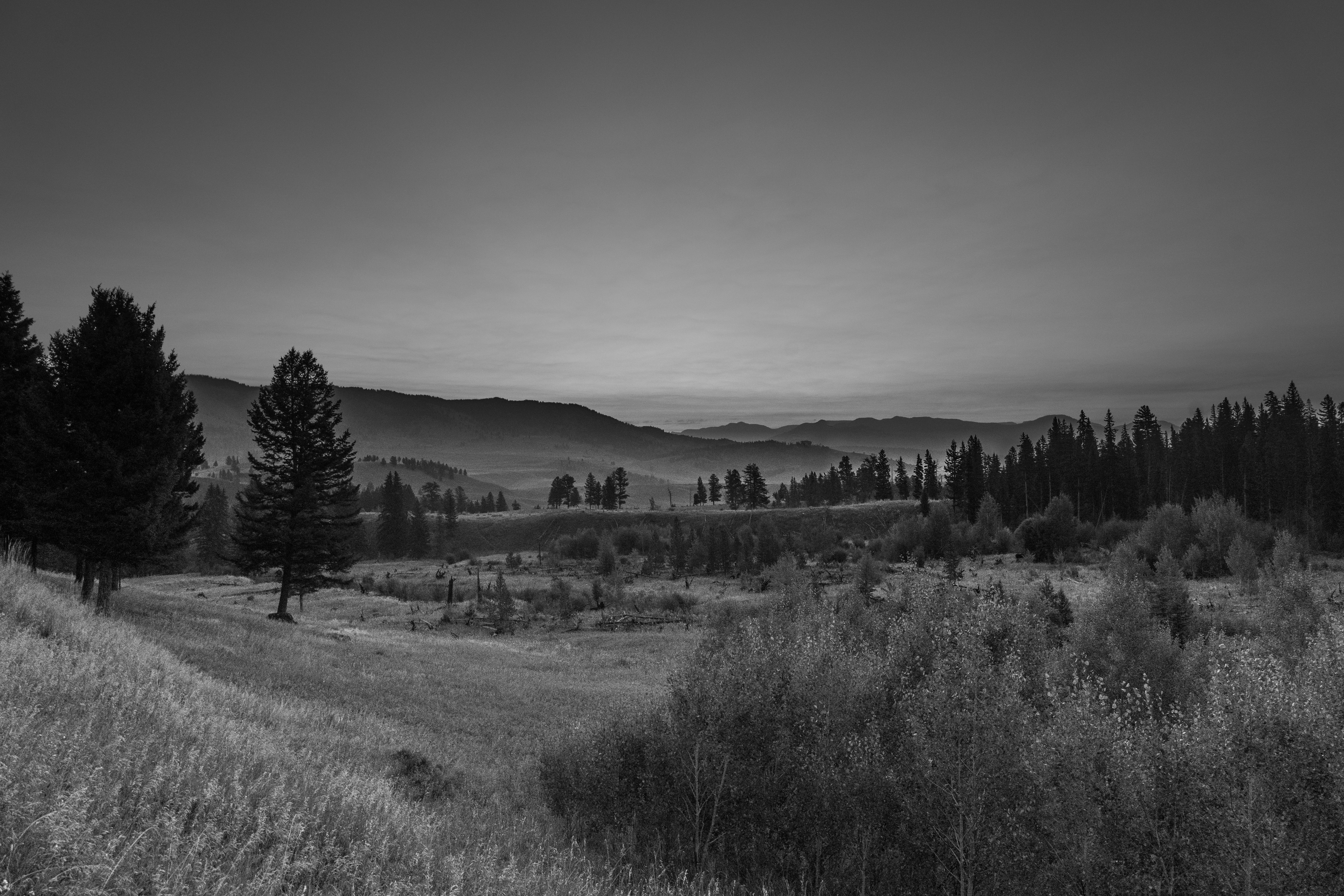 Photo by purpleice4496