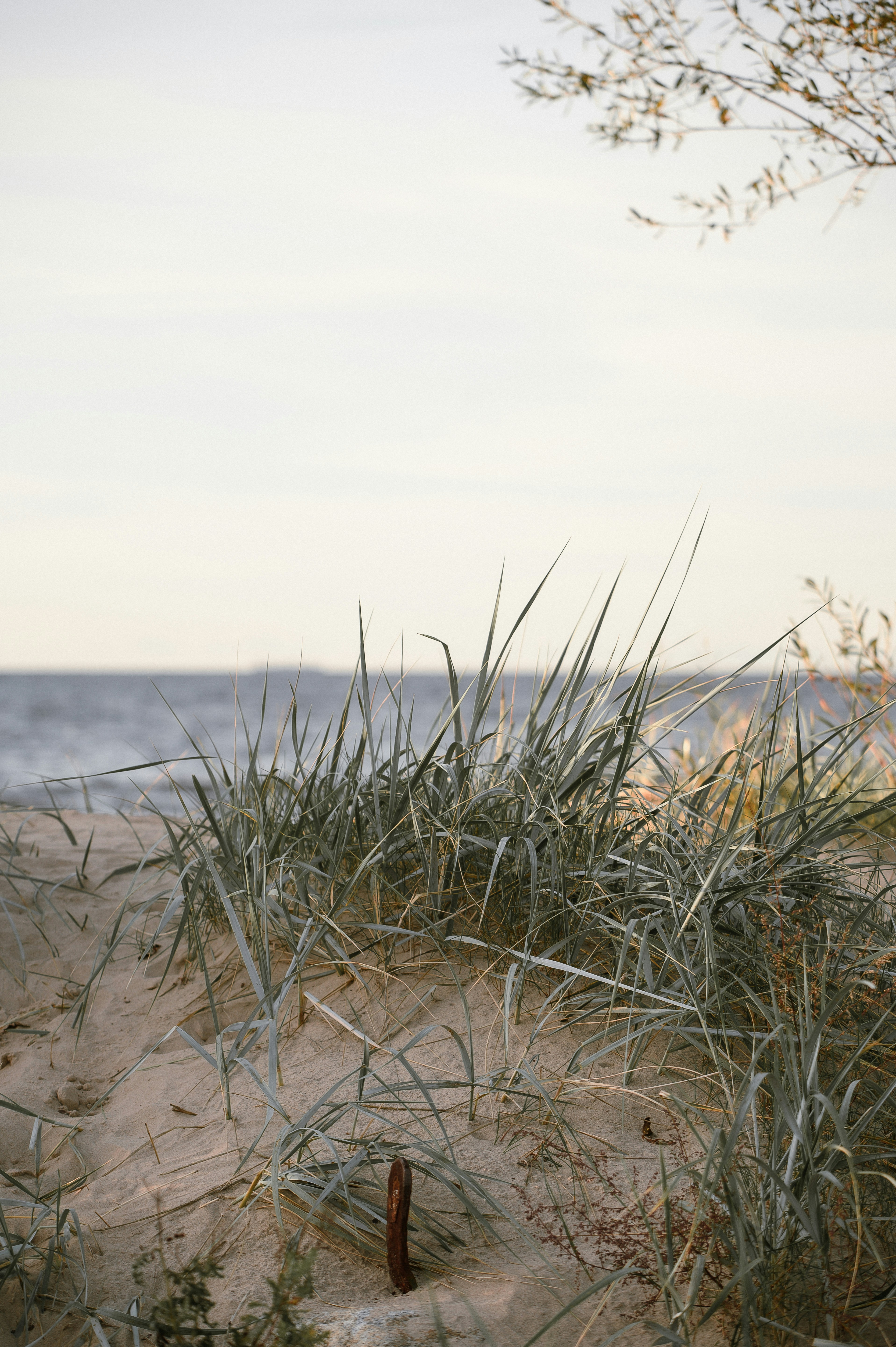 Photo by christina_kozak