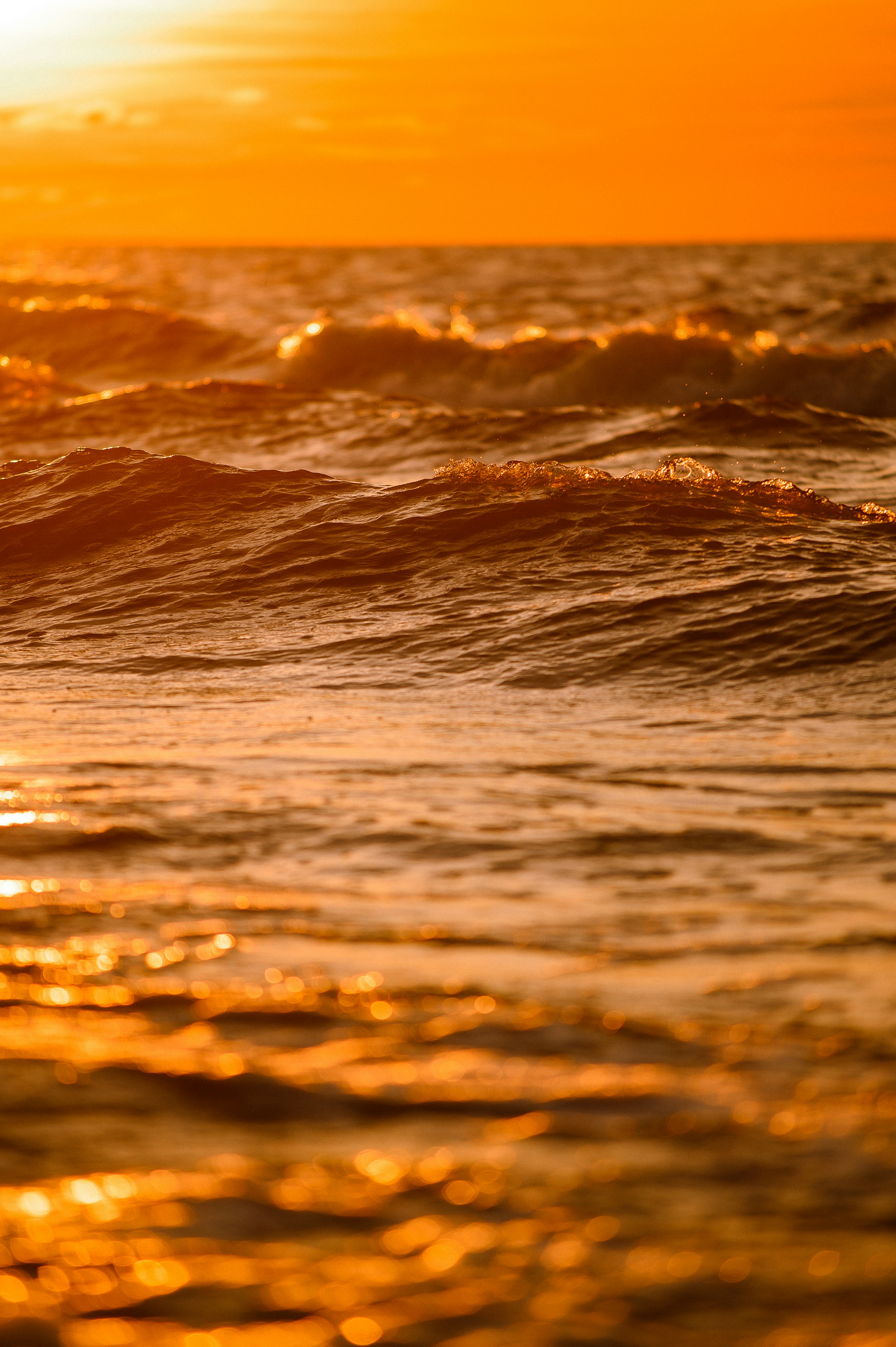 Photo by christina_kozak