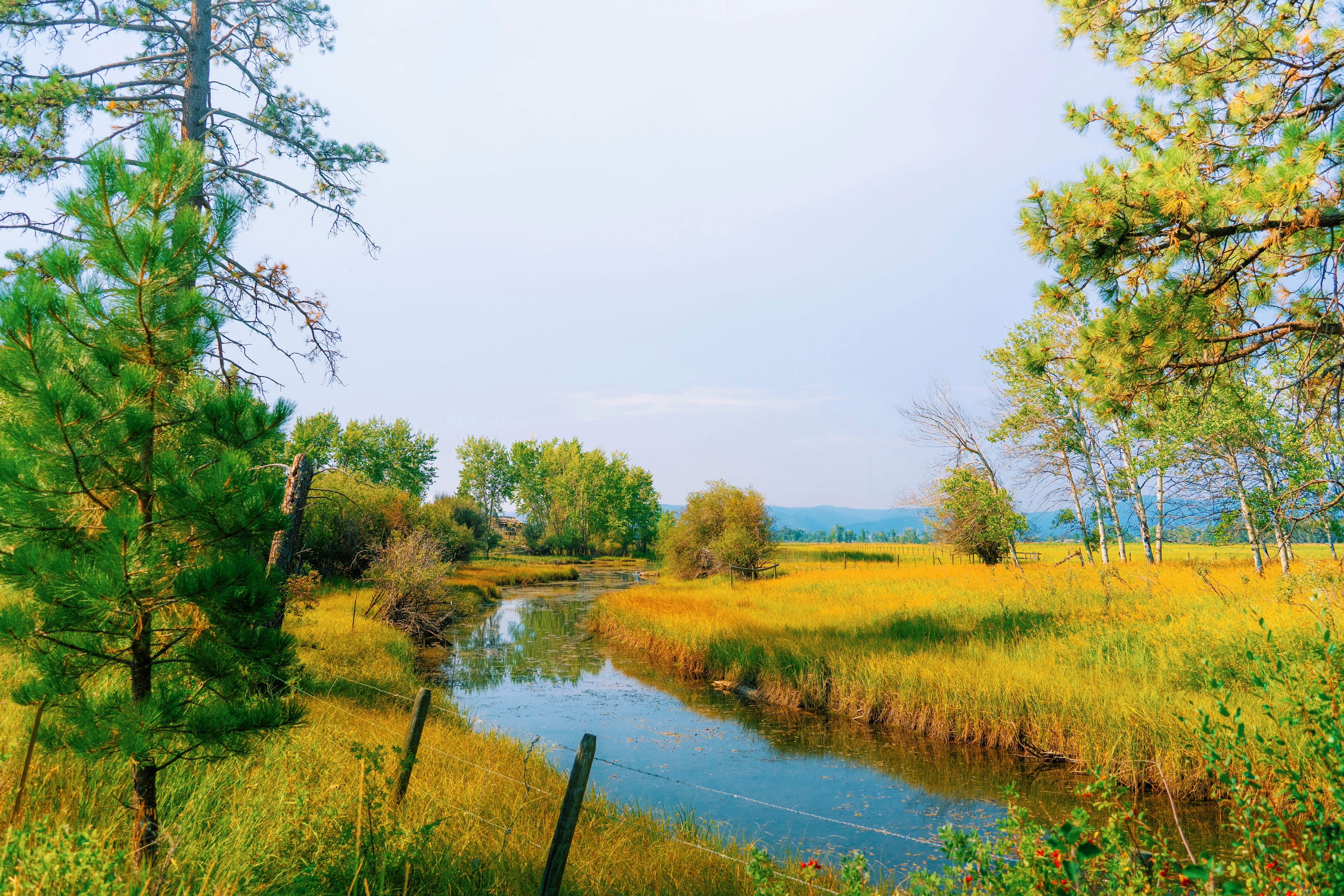 Photo by purpleice4496