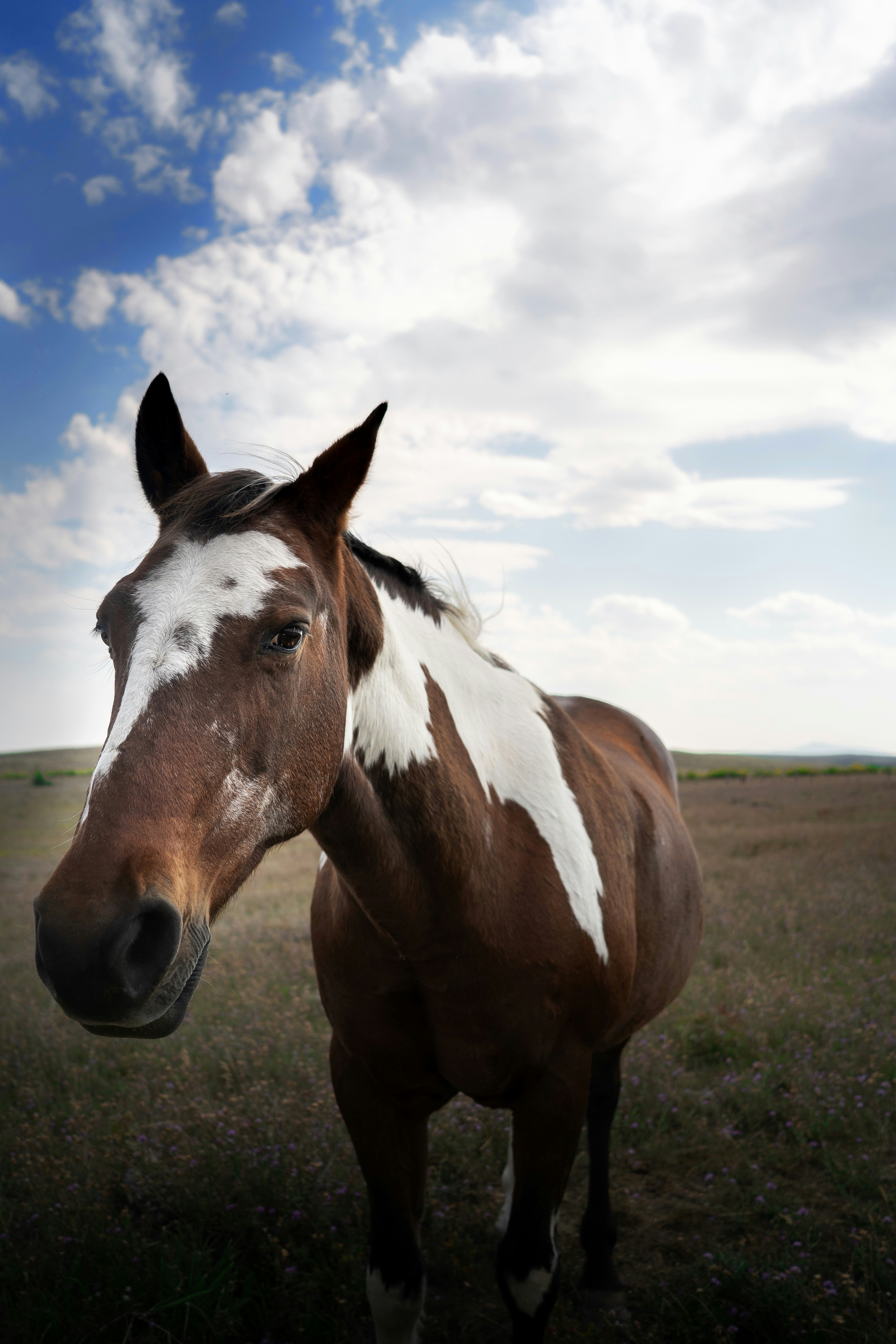 Photo by purpleice4496