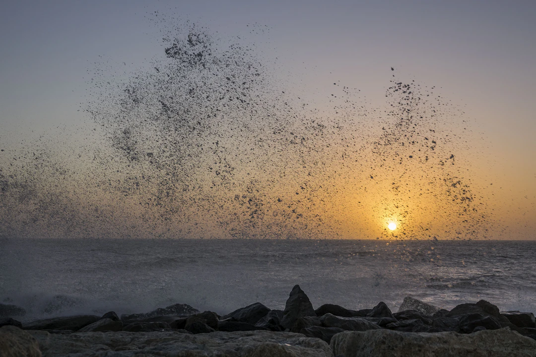 5-Day Swakopmund Family Itinerary: Relaxed & Kid-Friendly