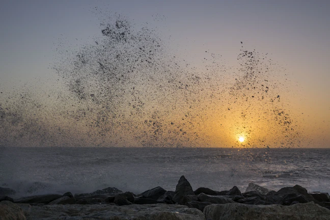 5-Day Swakopmund Family Itinerary: Relaxed & Kid-Friendly