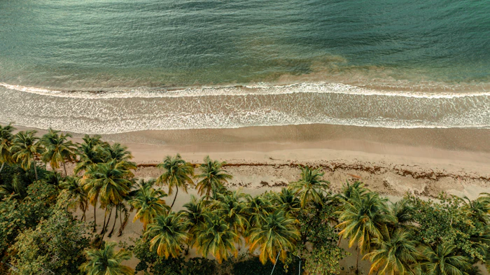 Palm-lined beach with calm turquoise water, similar to Cayman Kai near Rum Point