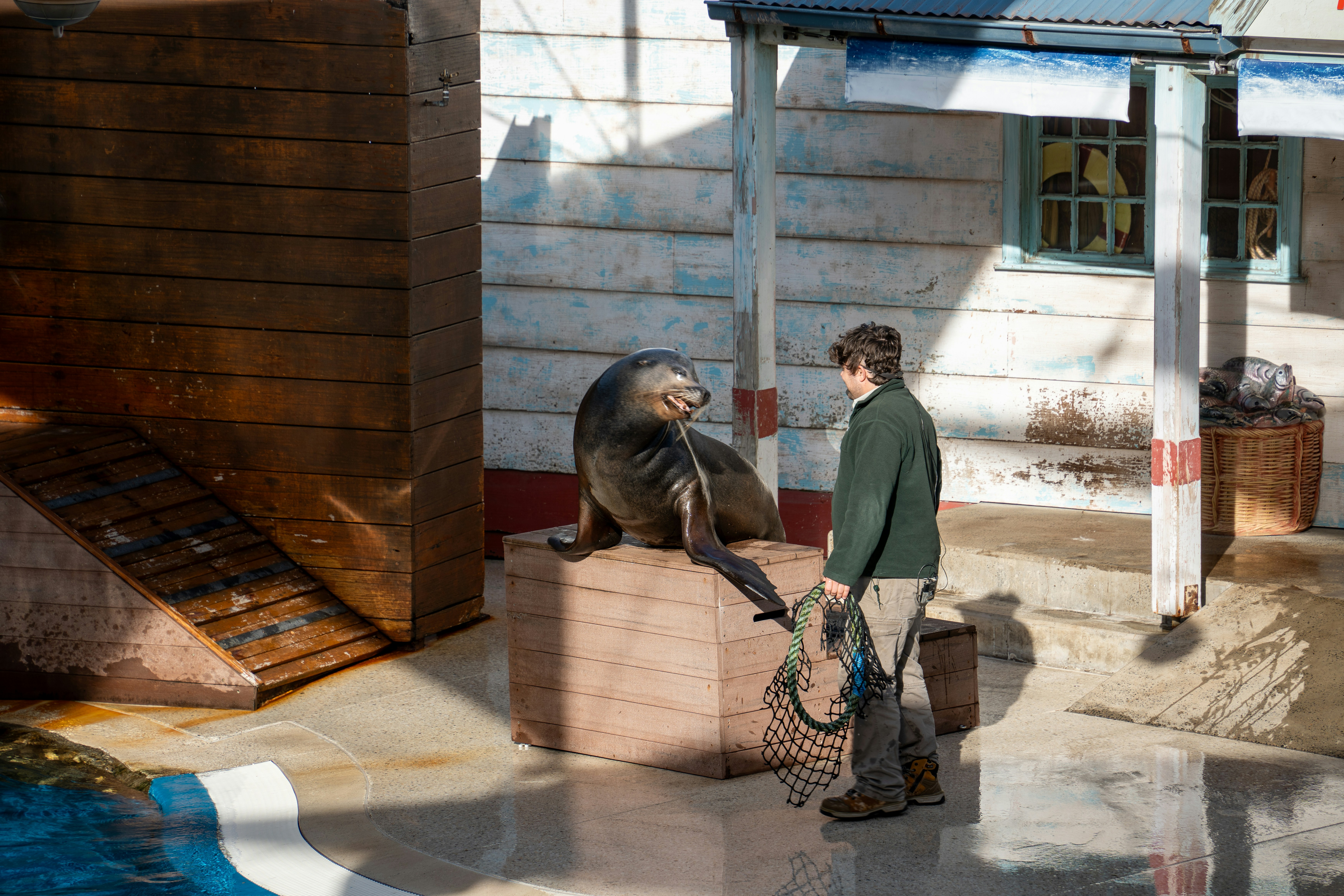 Behavioral Correction