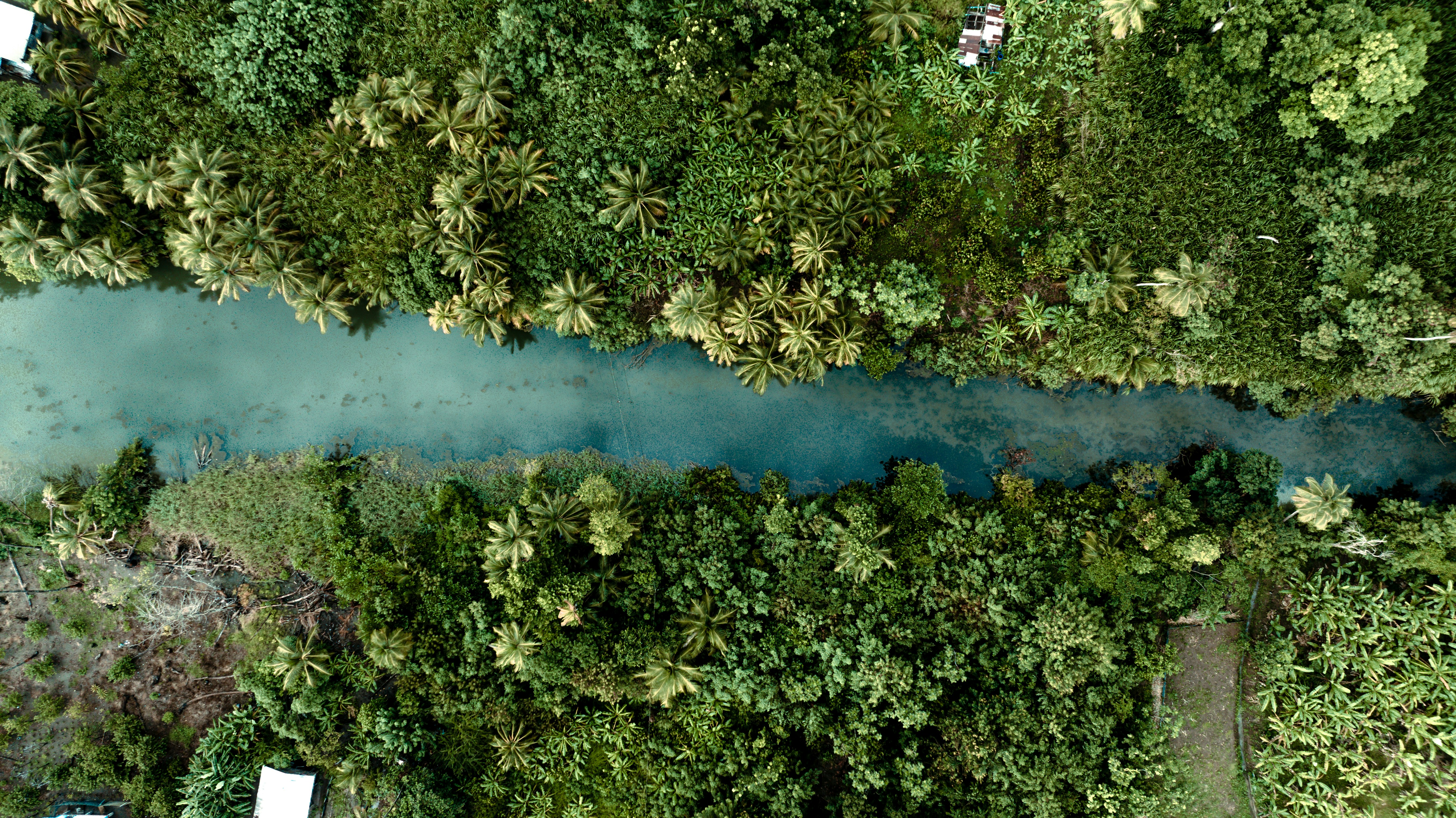 緑豊かなジャングルの中を流れる川の空撮。