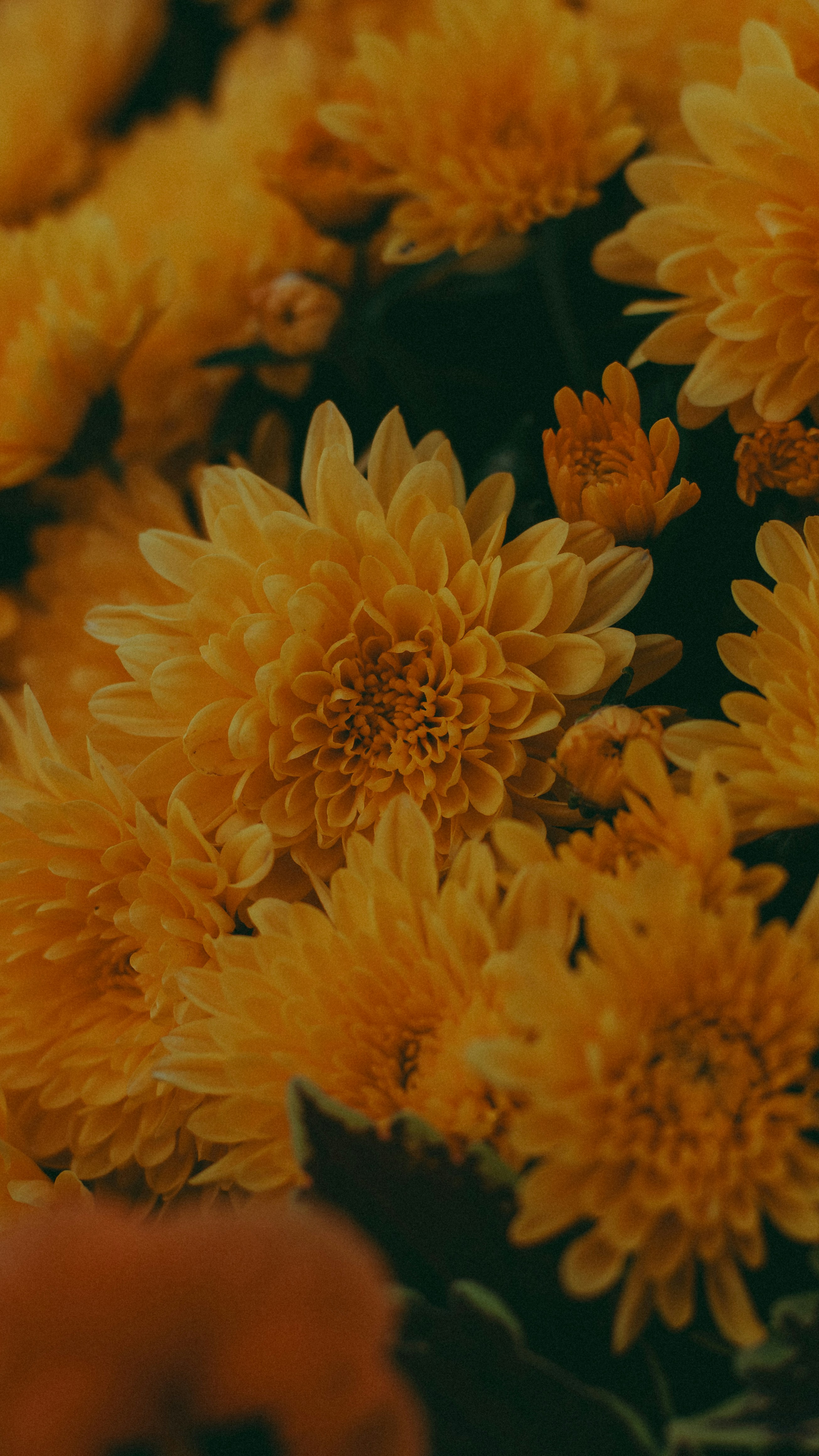 Photo by hashcode_error