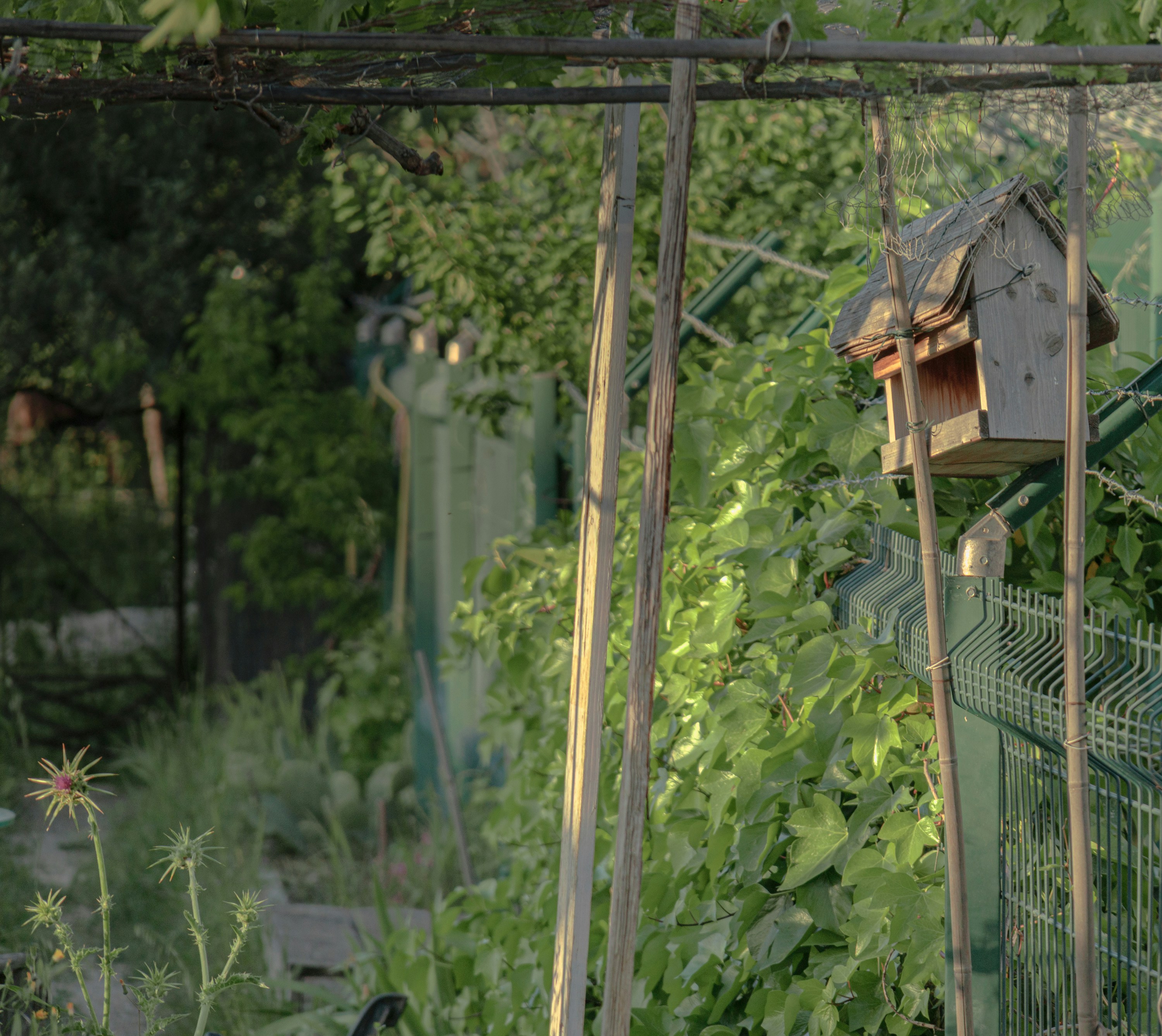 Wooden birdhouse hanging in a lush garden setting.