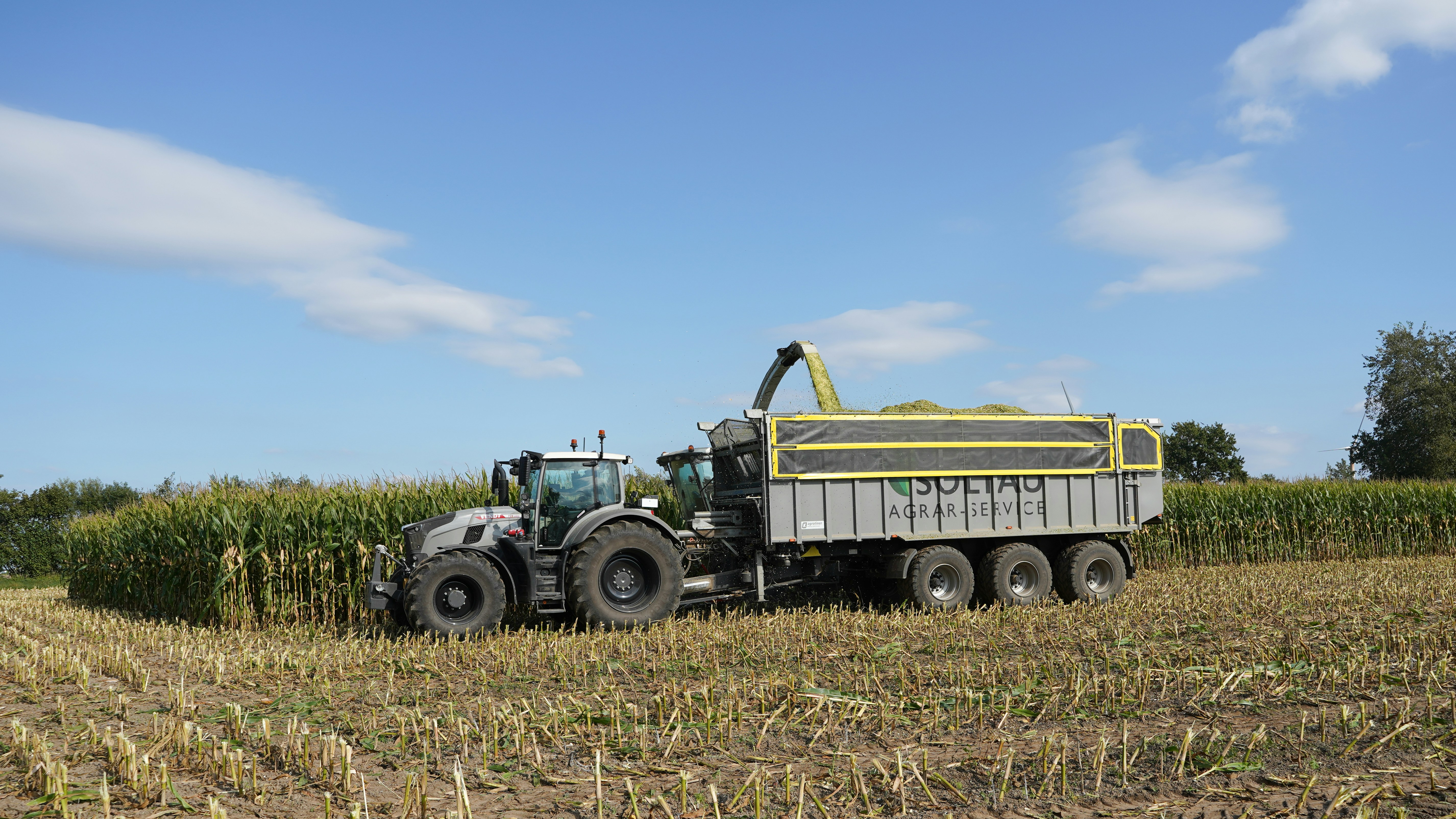 Photo by hamburgmeinefreundin