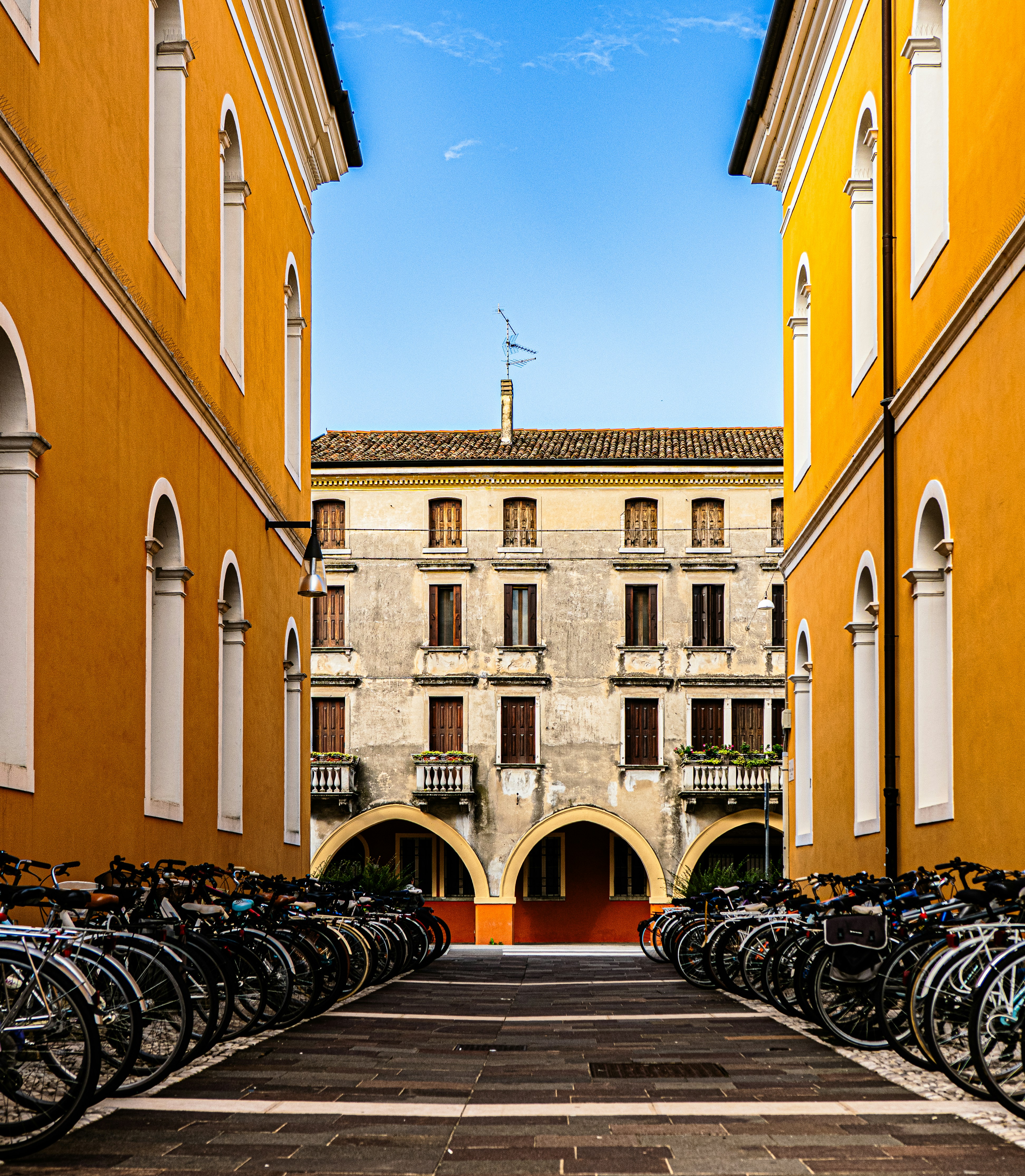 Photo by gopitri_prem