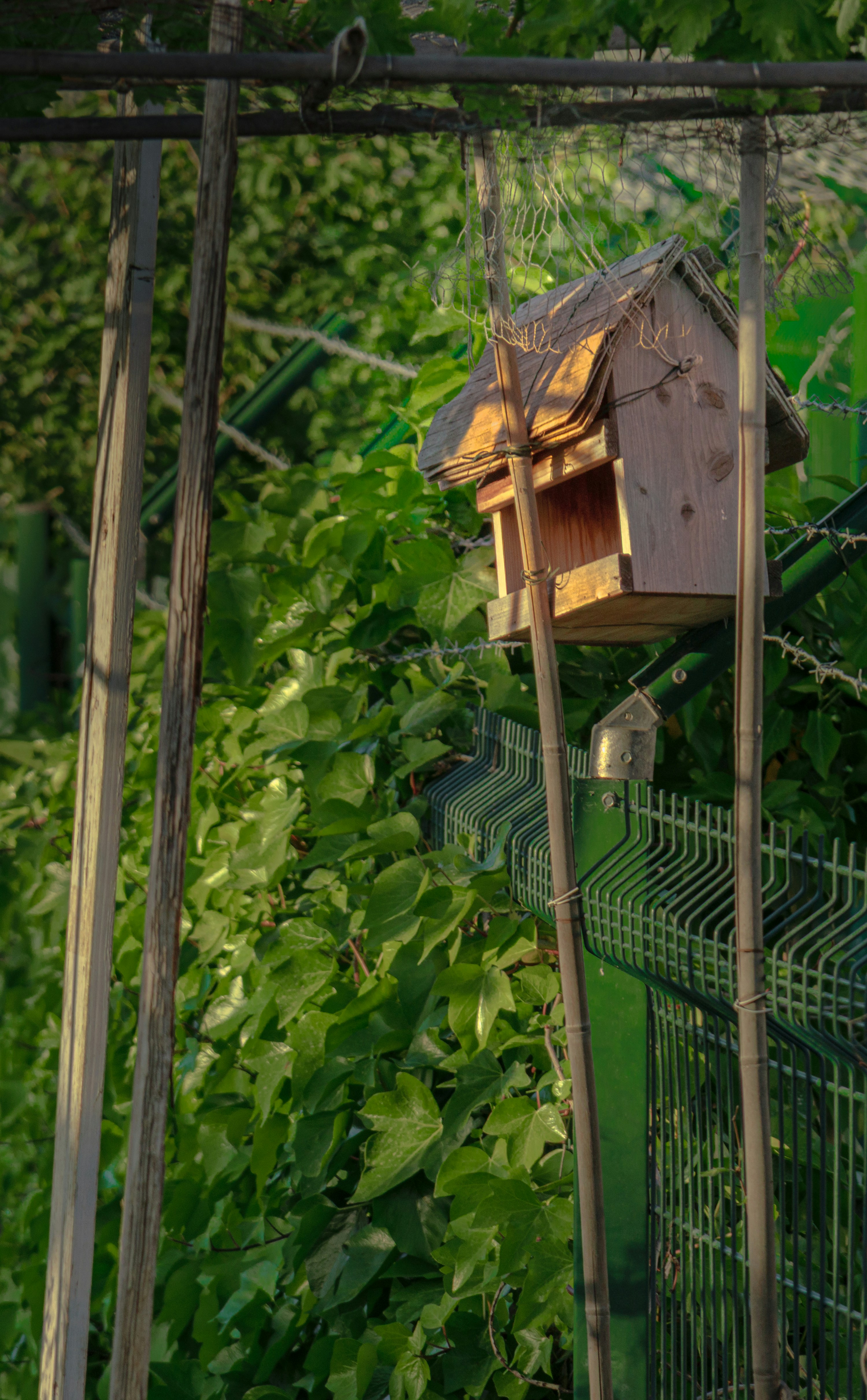 Wooden birdhouse on a fence with green foliage.