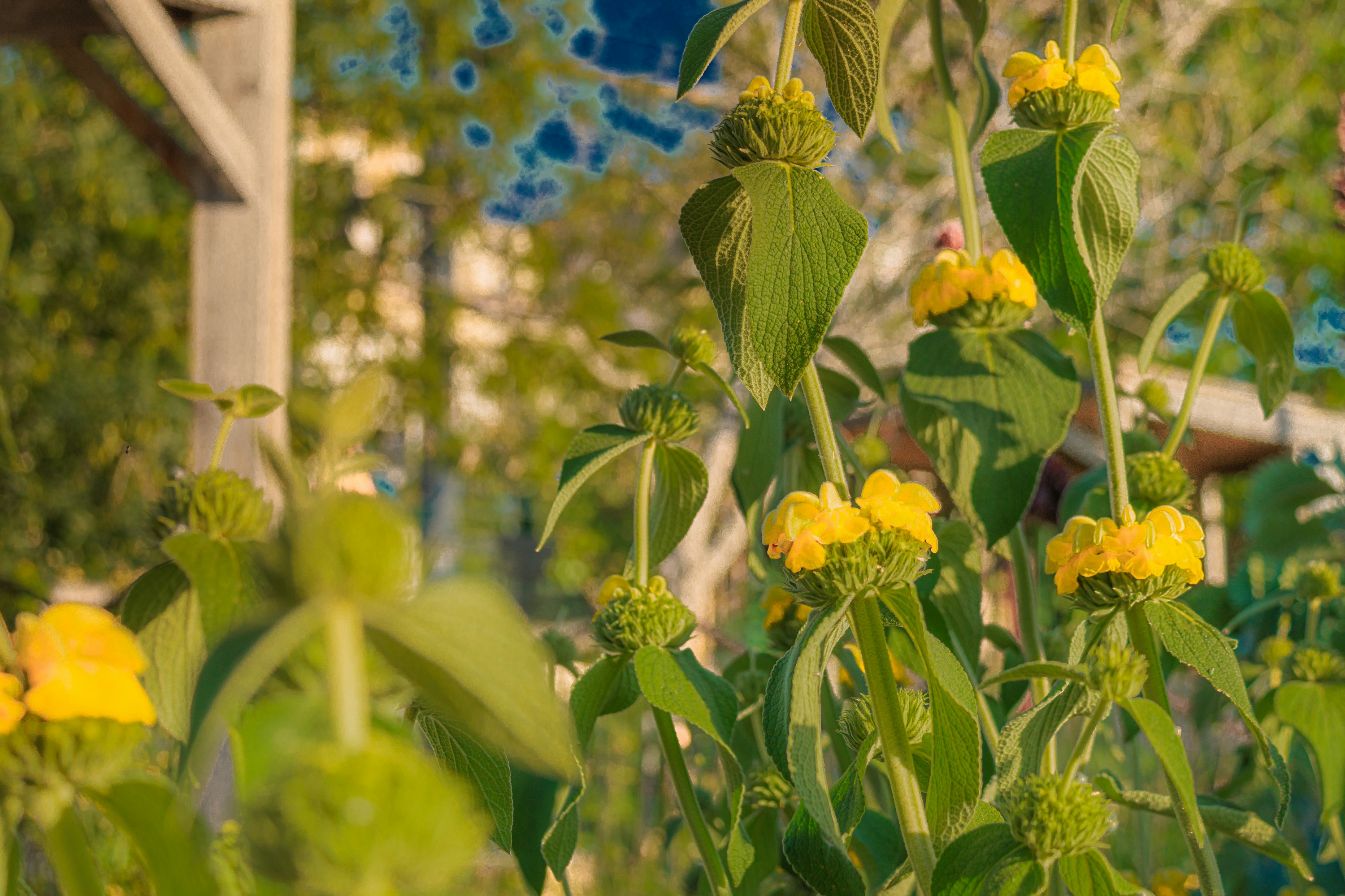 Photo by abdelkader1001