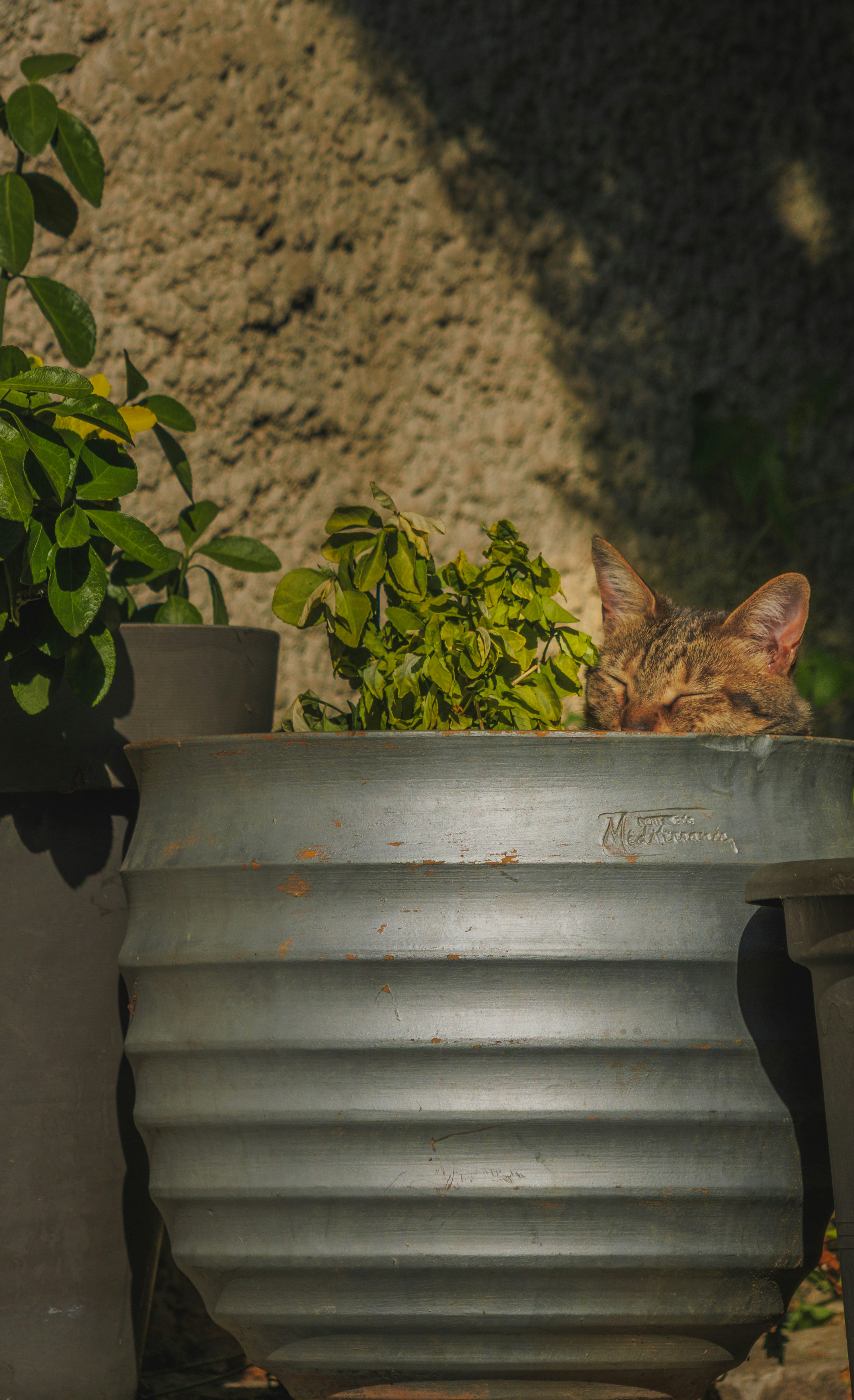 Photo by abdelkader1001