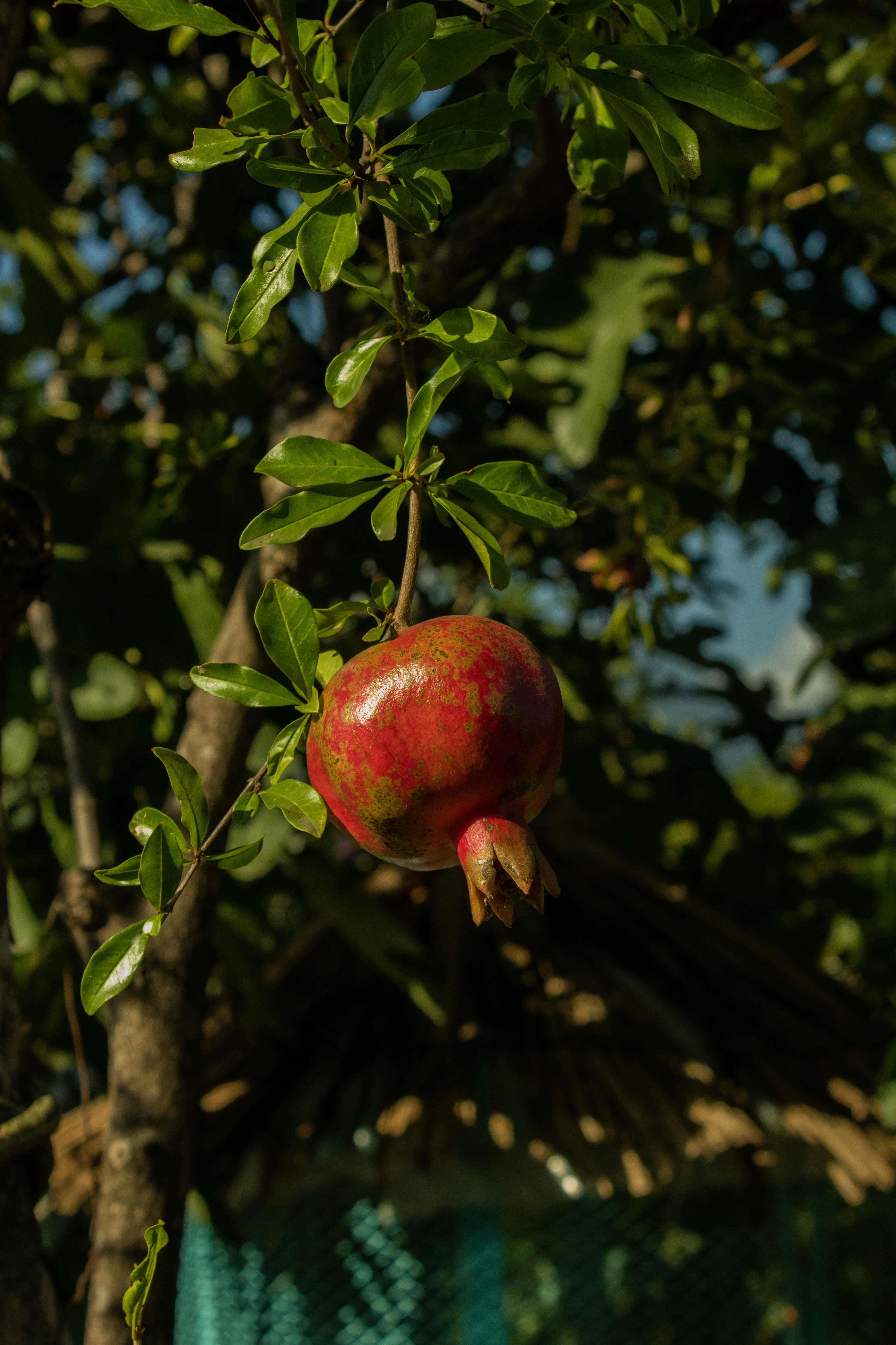 Photo by mar_wa_kombanezhuth