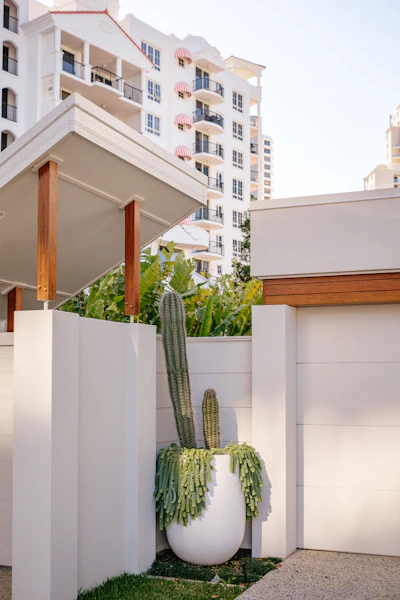 Tall cactus and succulent in a white planter