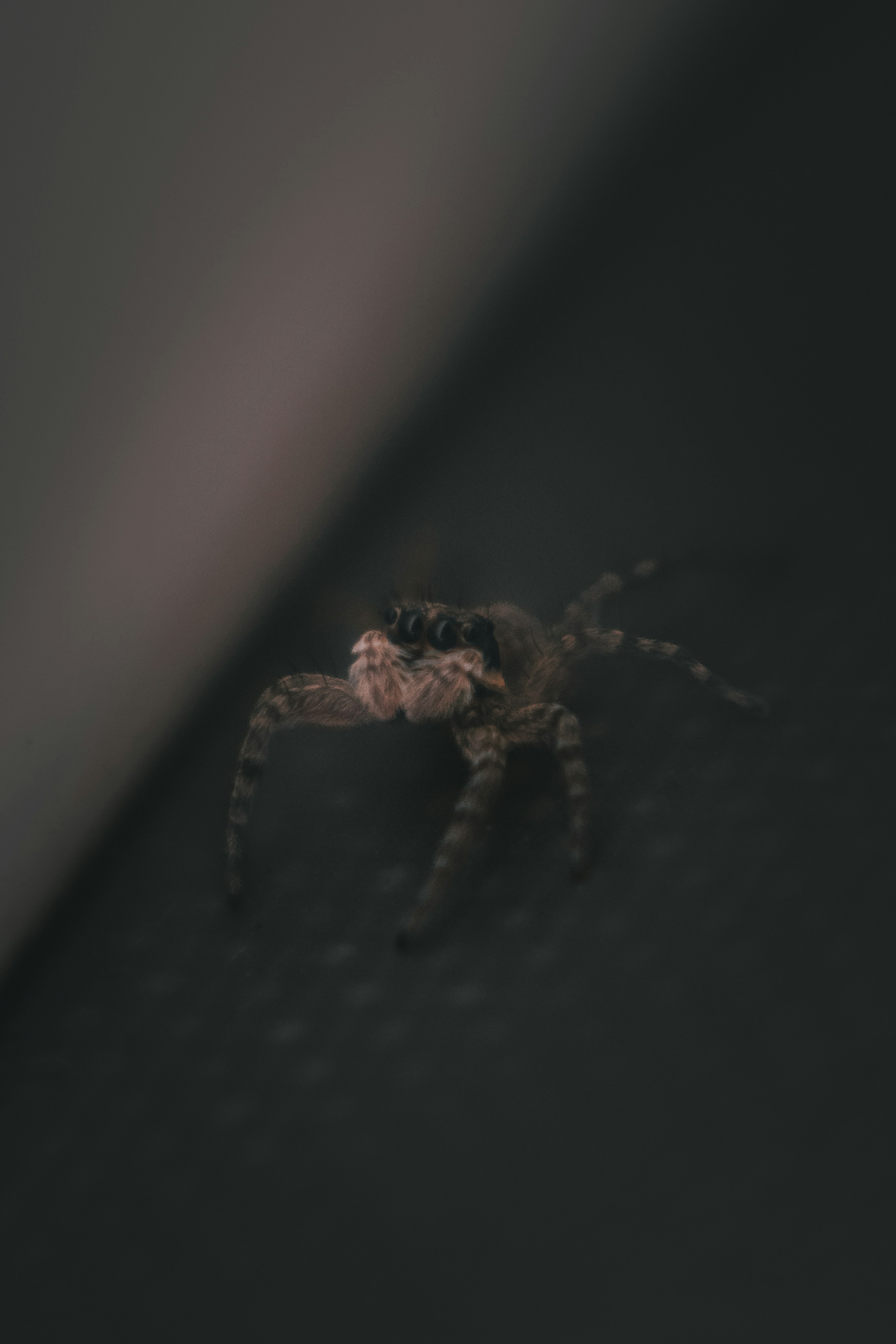 Photo by elhamfidani