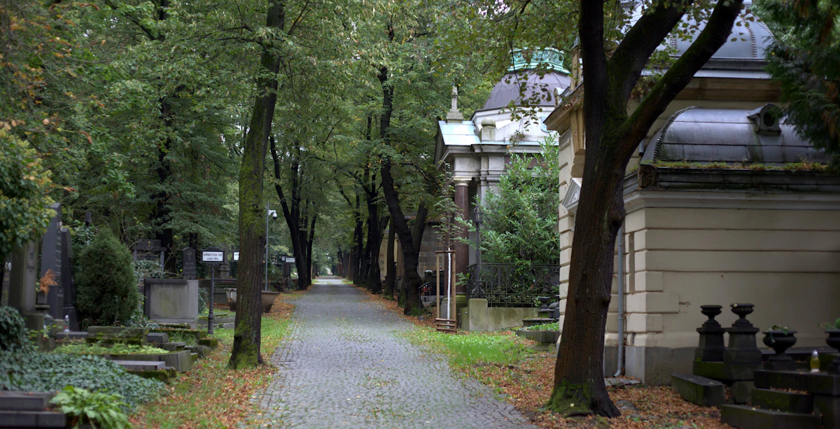 Cemetery landscape