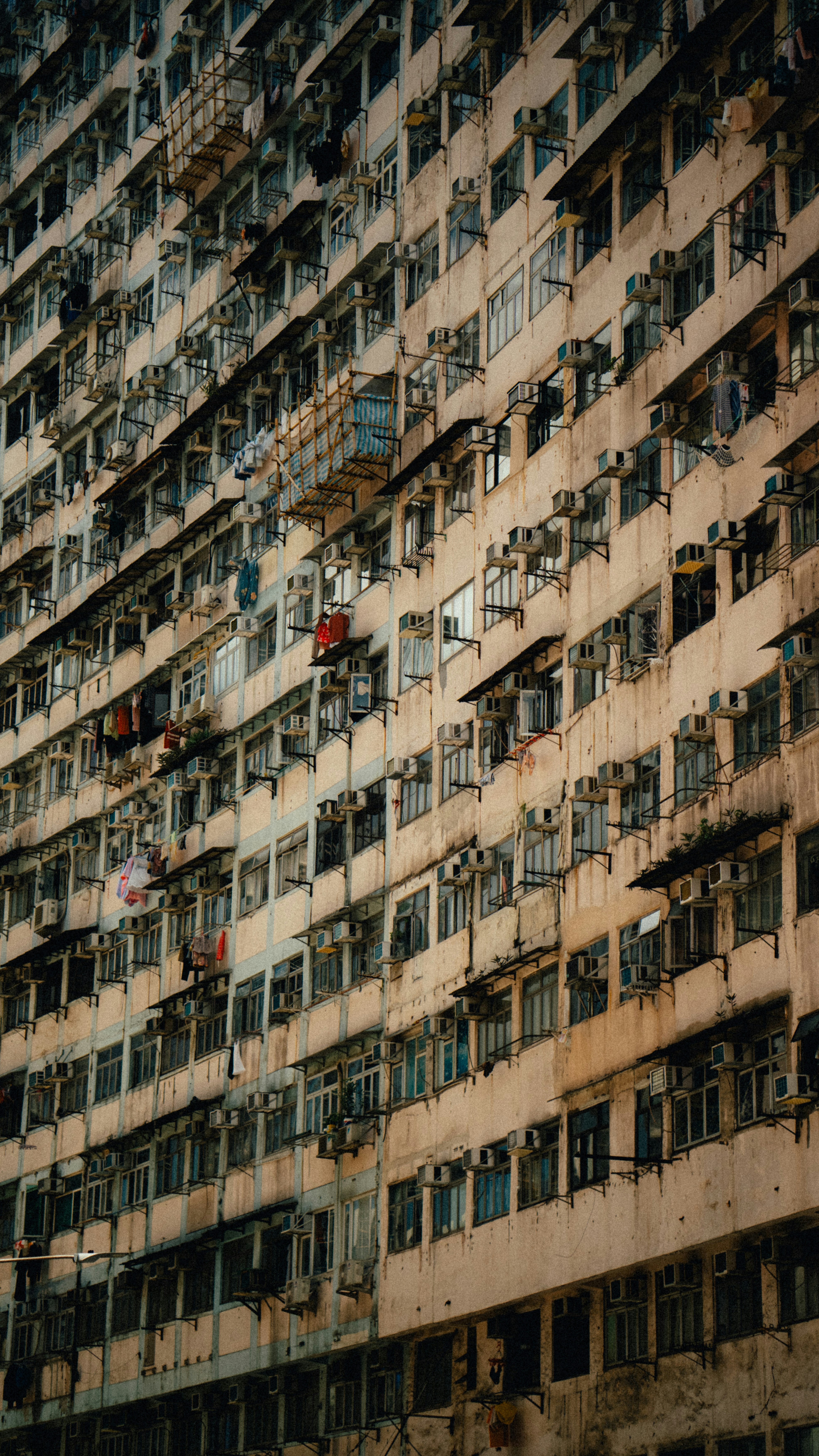 Photo by daniil_artemenko