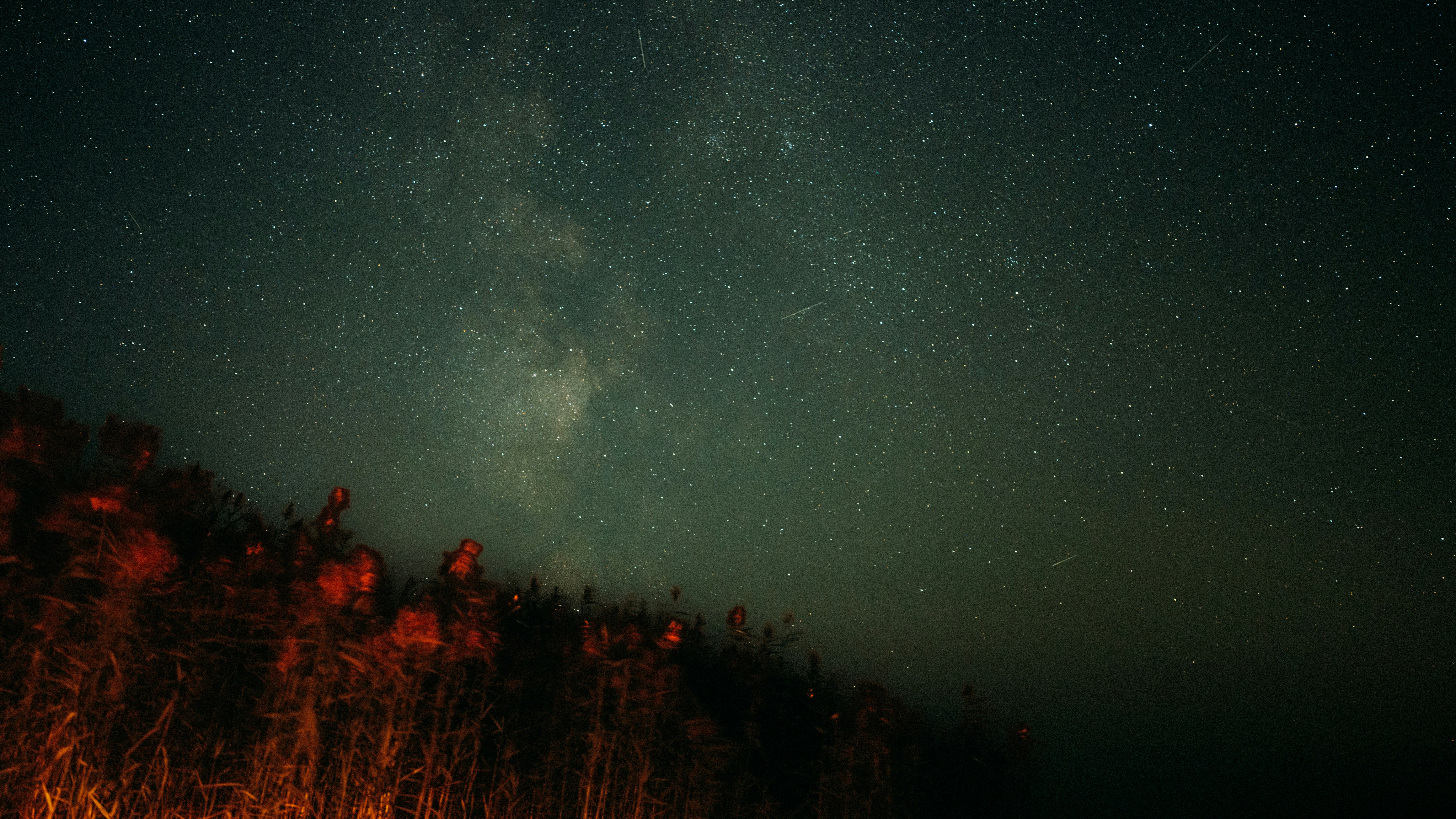 Photo by daniil_artemenko