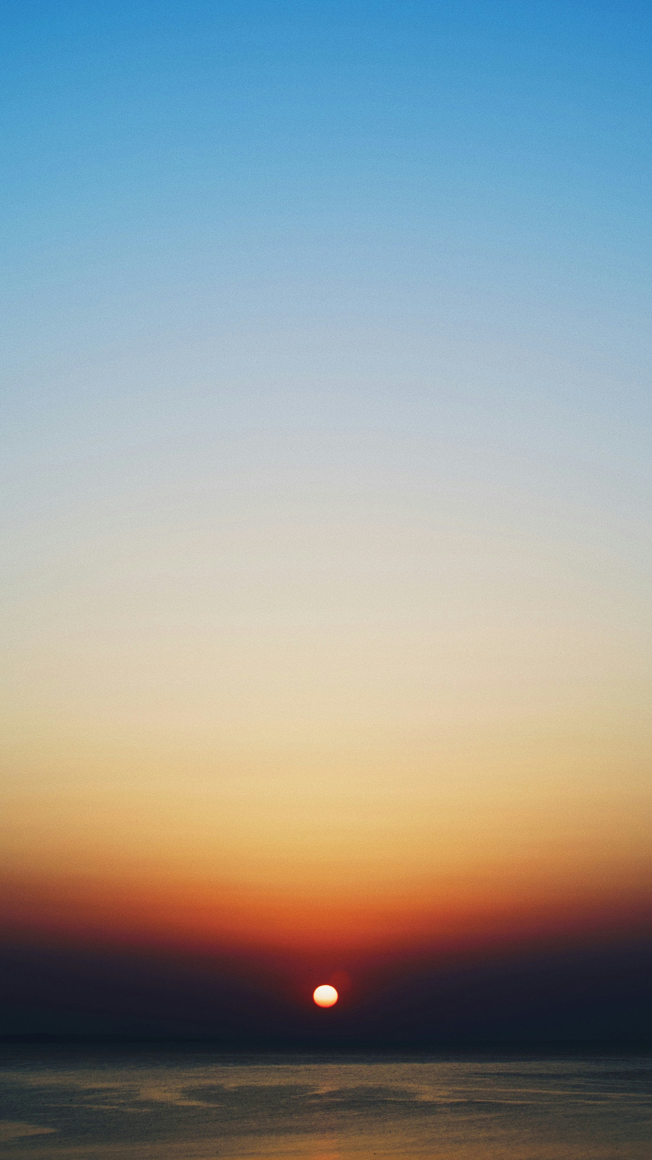 Photo by daniil_artemenko