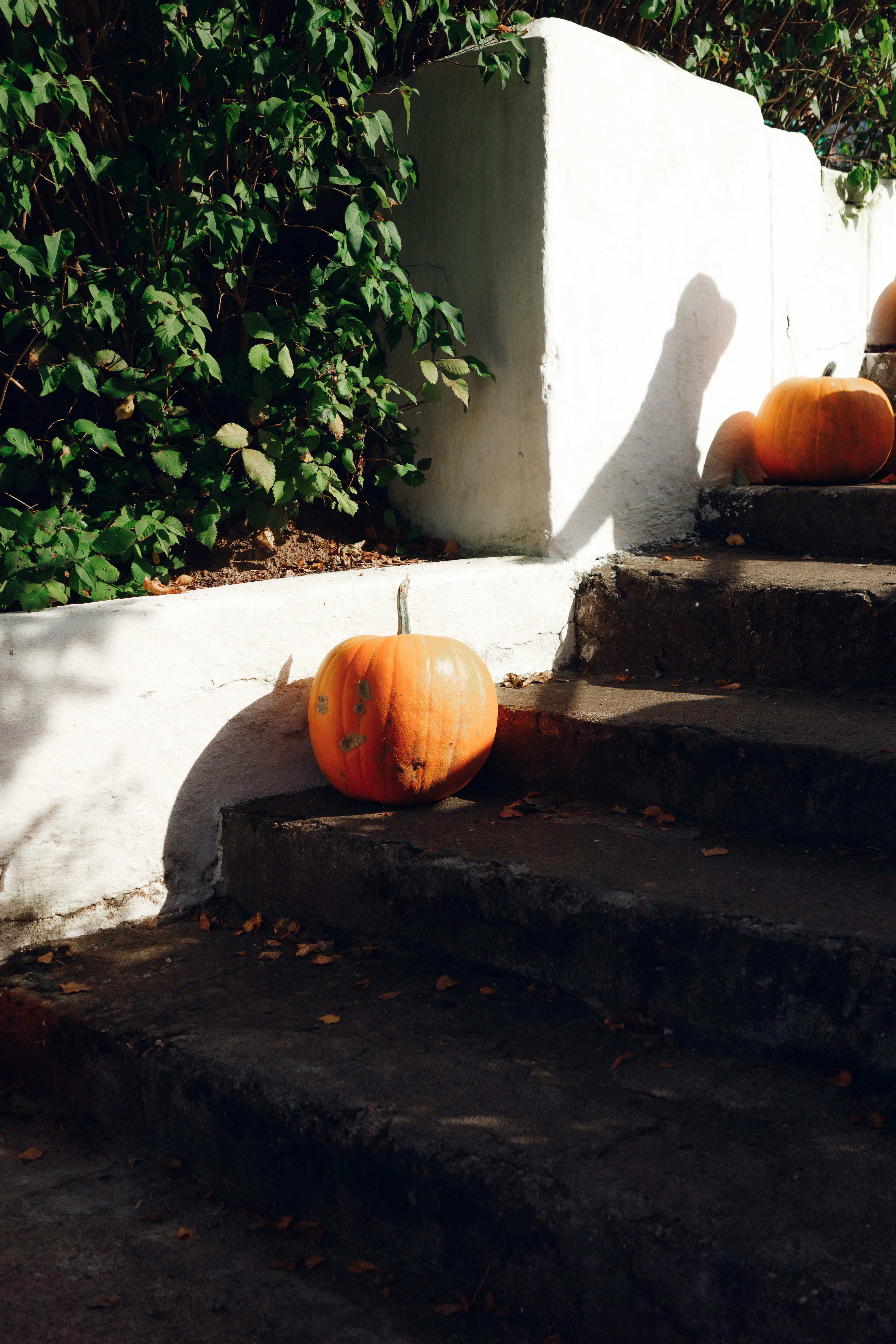 制限なしでOpenAI Sora 2を使う方法