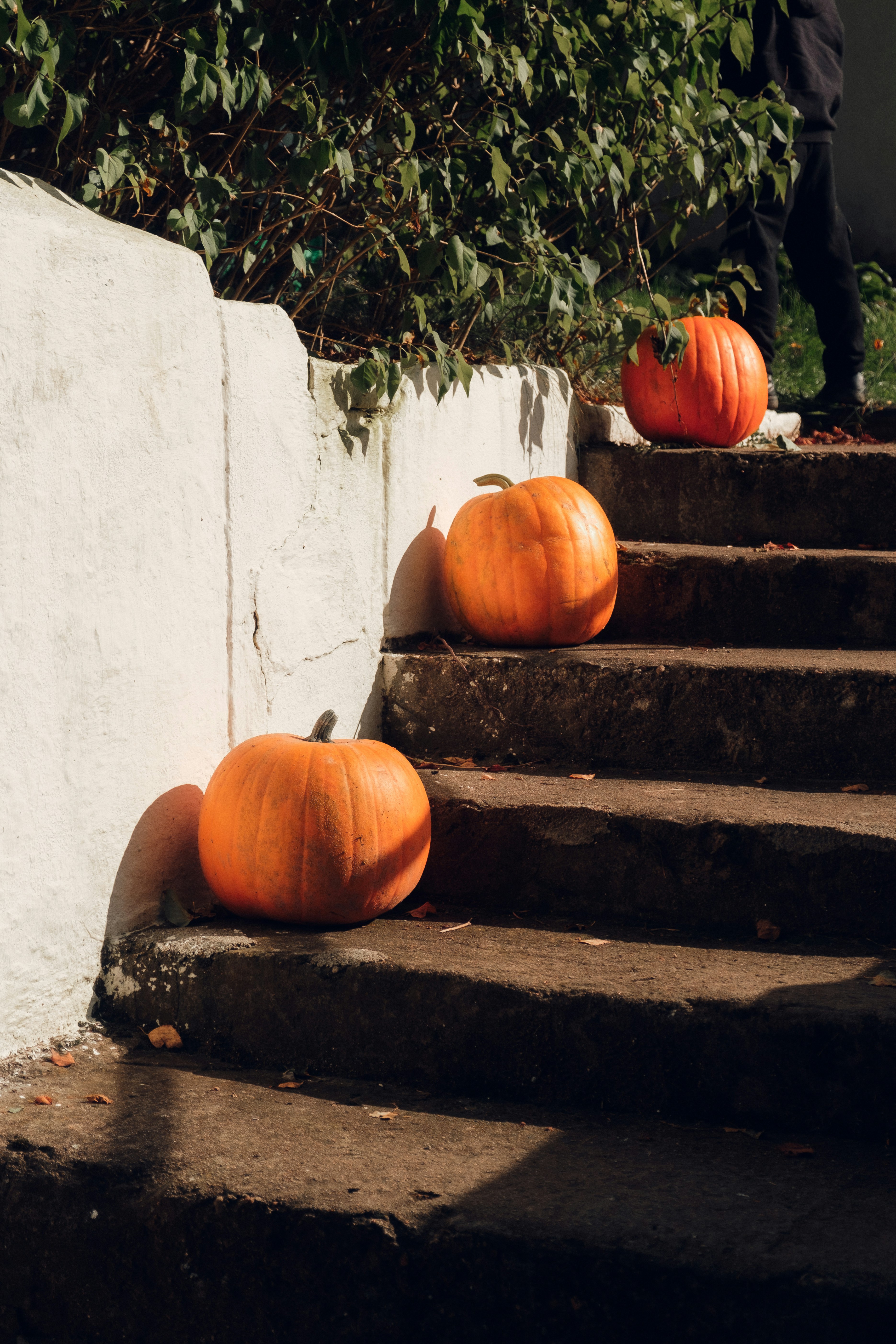 Three pumpkins sit on outdoor stone steps.