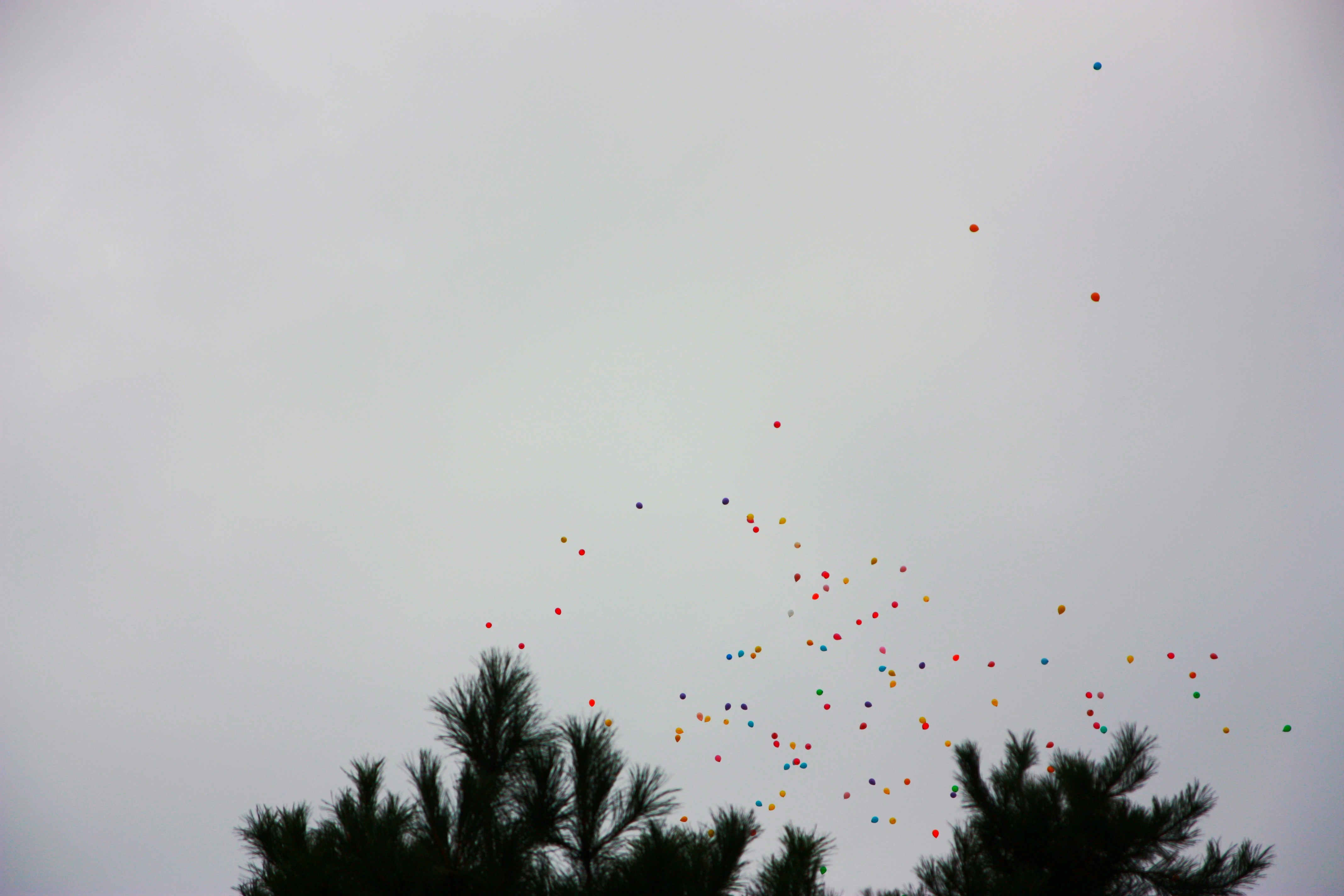 Micro‑Release Strategies for Rolling Out New Task Features (2026 Playbook)