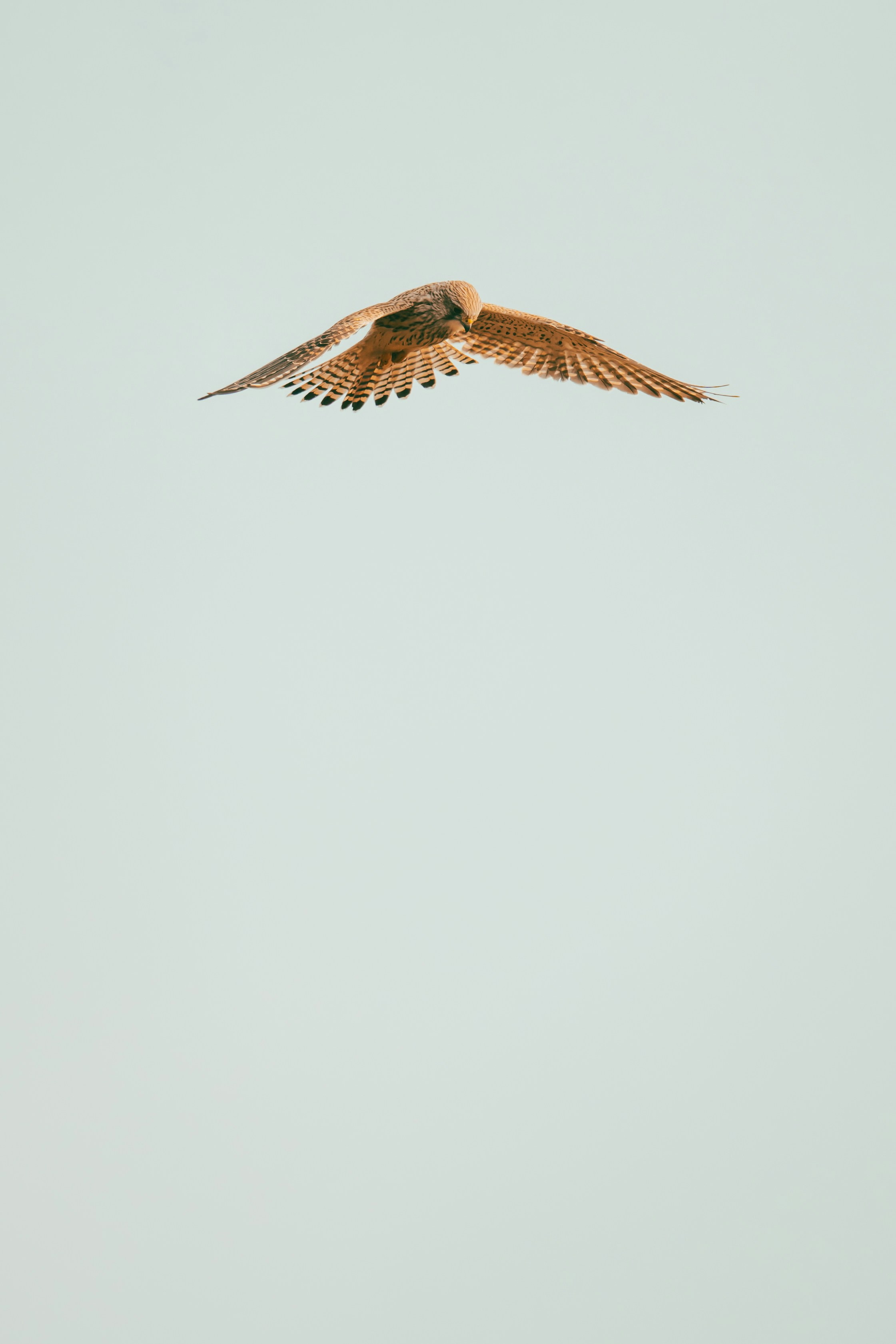 Photo by coombez