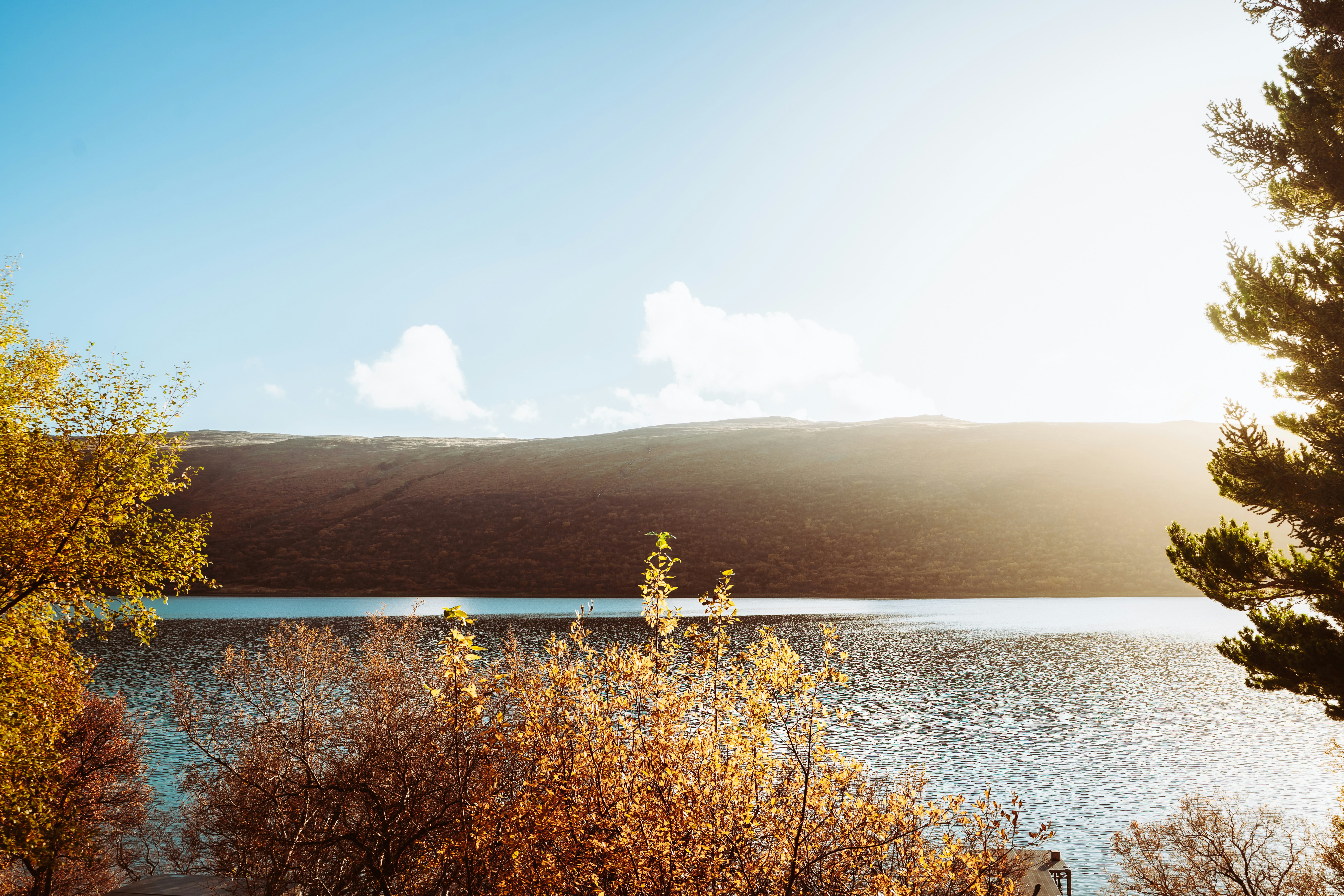 Photo by arongestsson