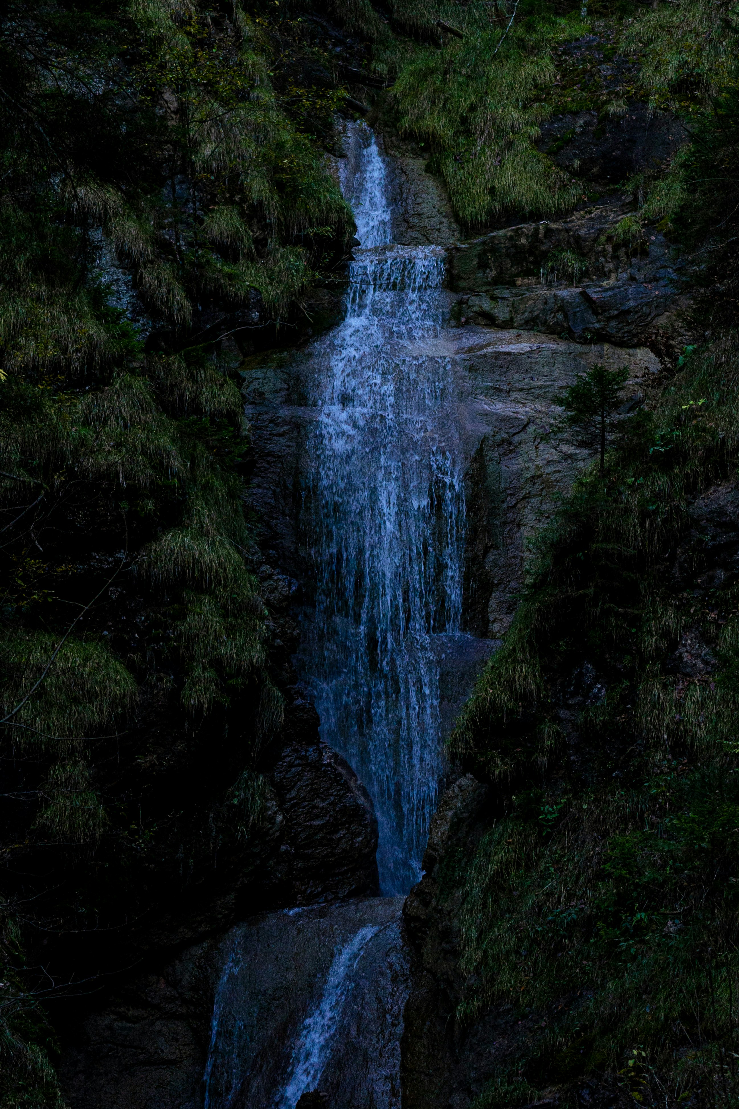 Photo by danielsphotograpic