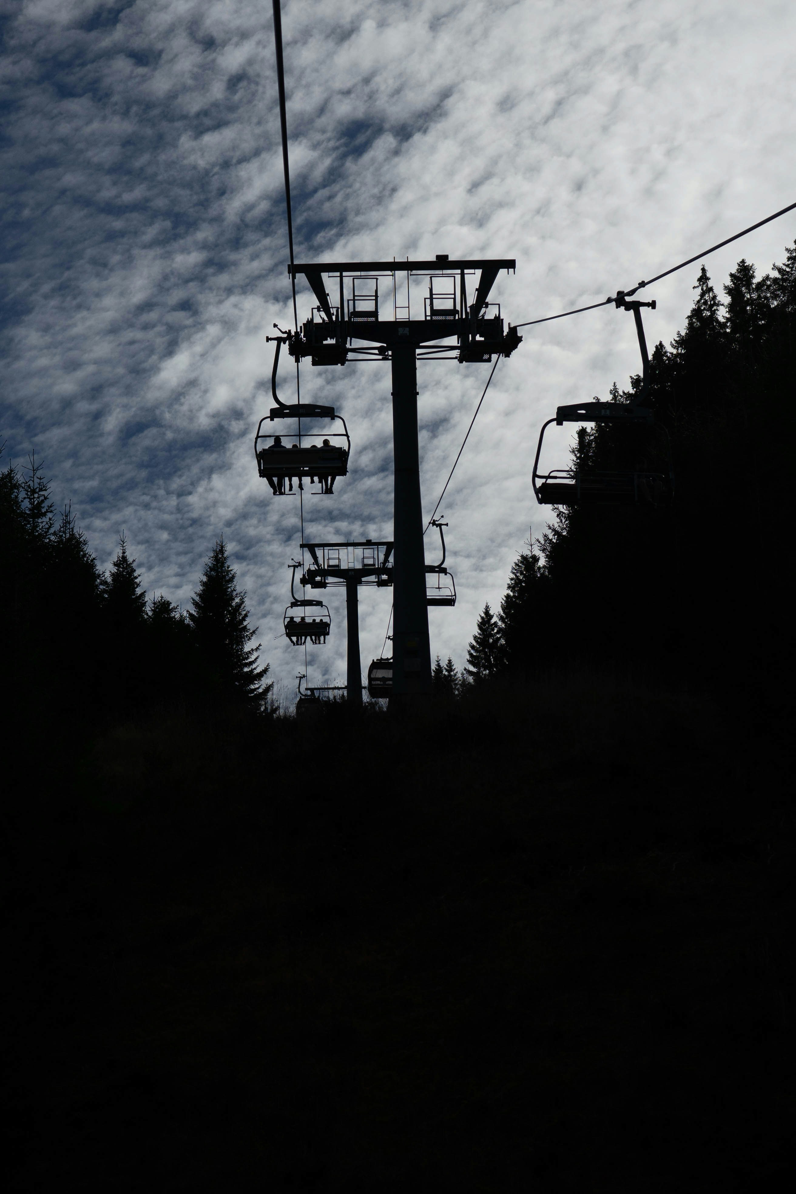 Photo by danielsphotograpic