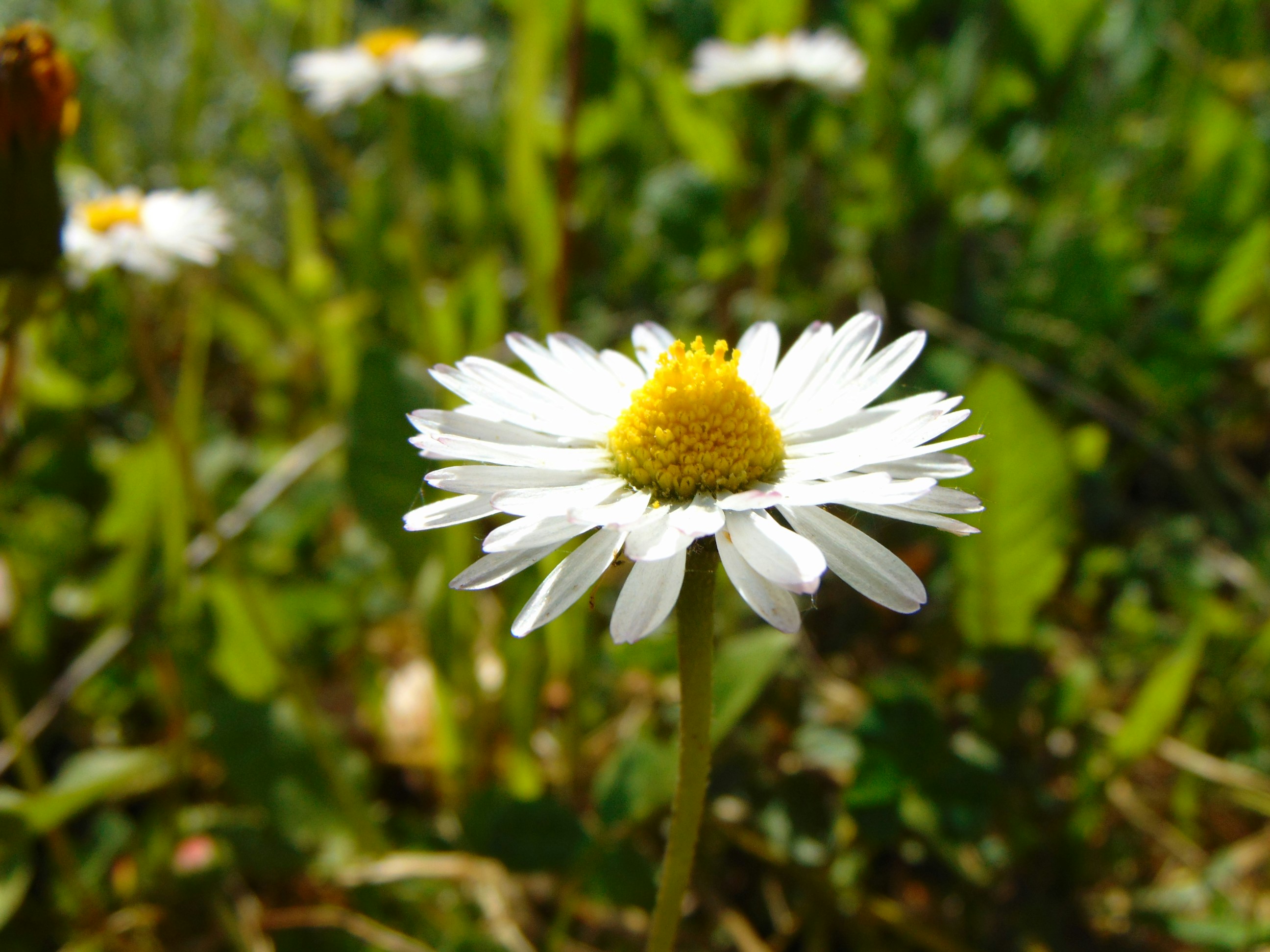 Photo by cestovatelmatt