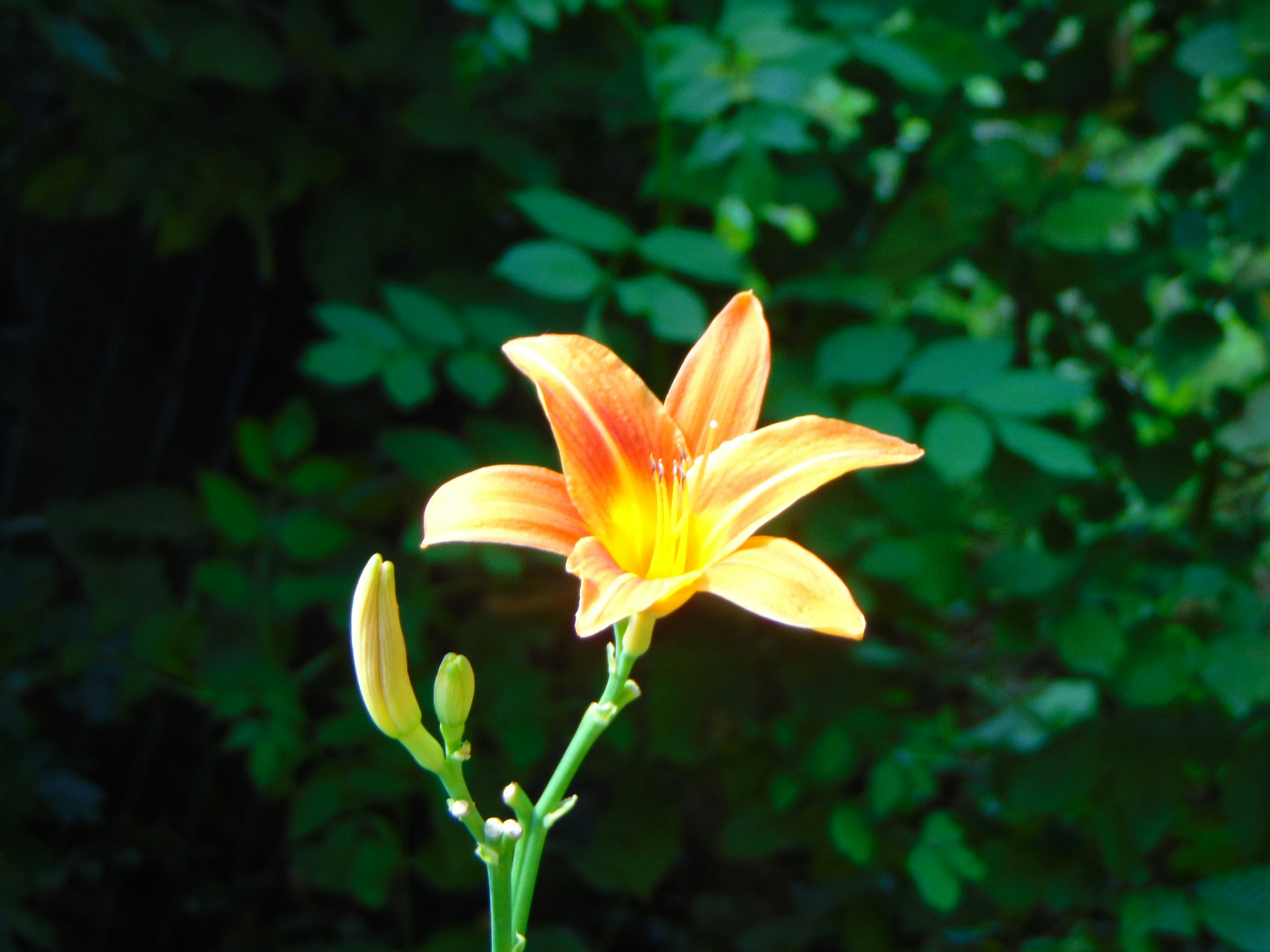 Photo by cestovatelmatt