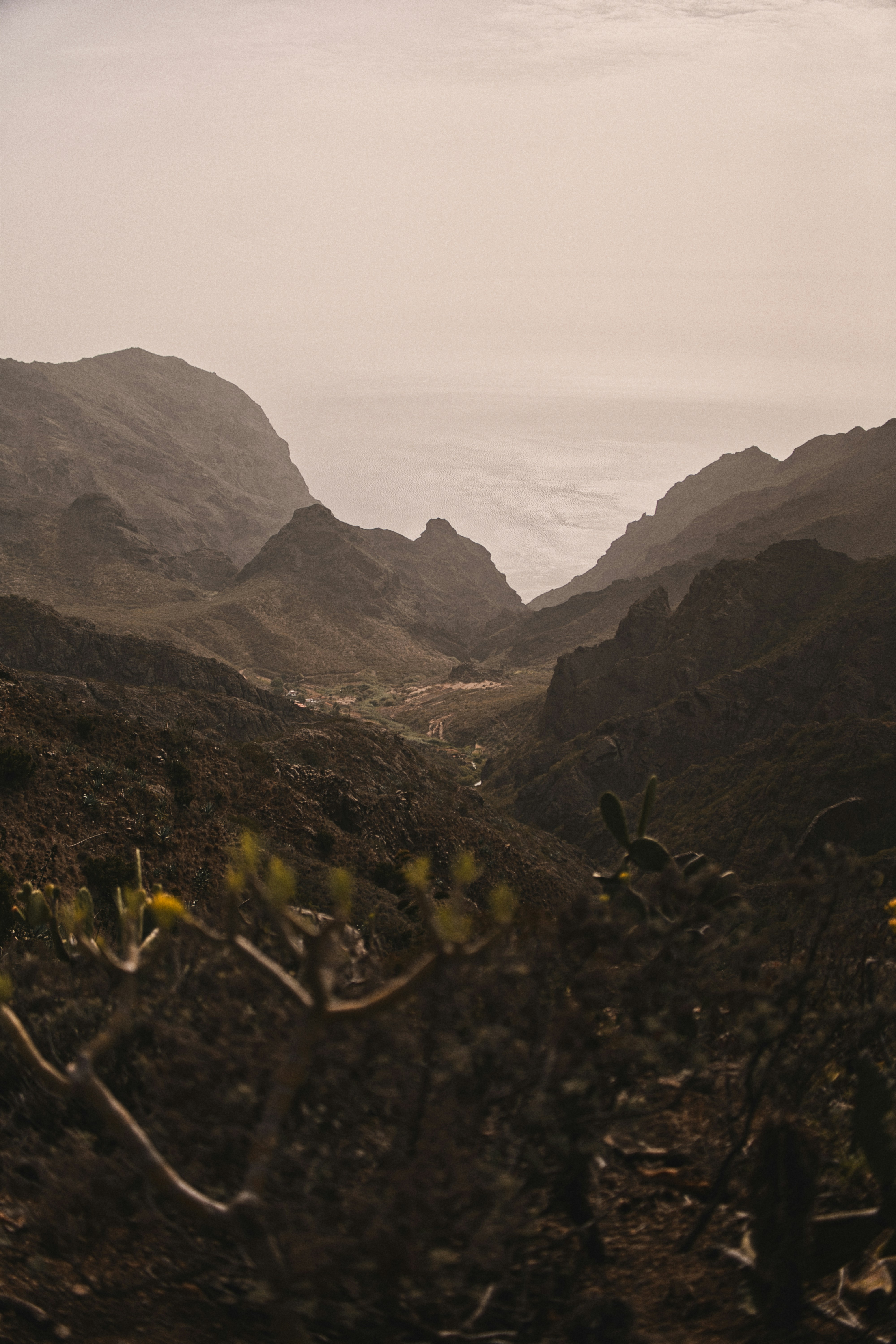 Rugged mountains leading to a hazy ocean view.