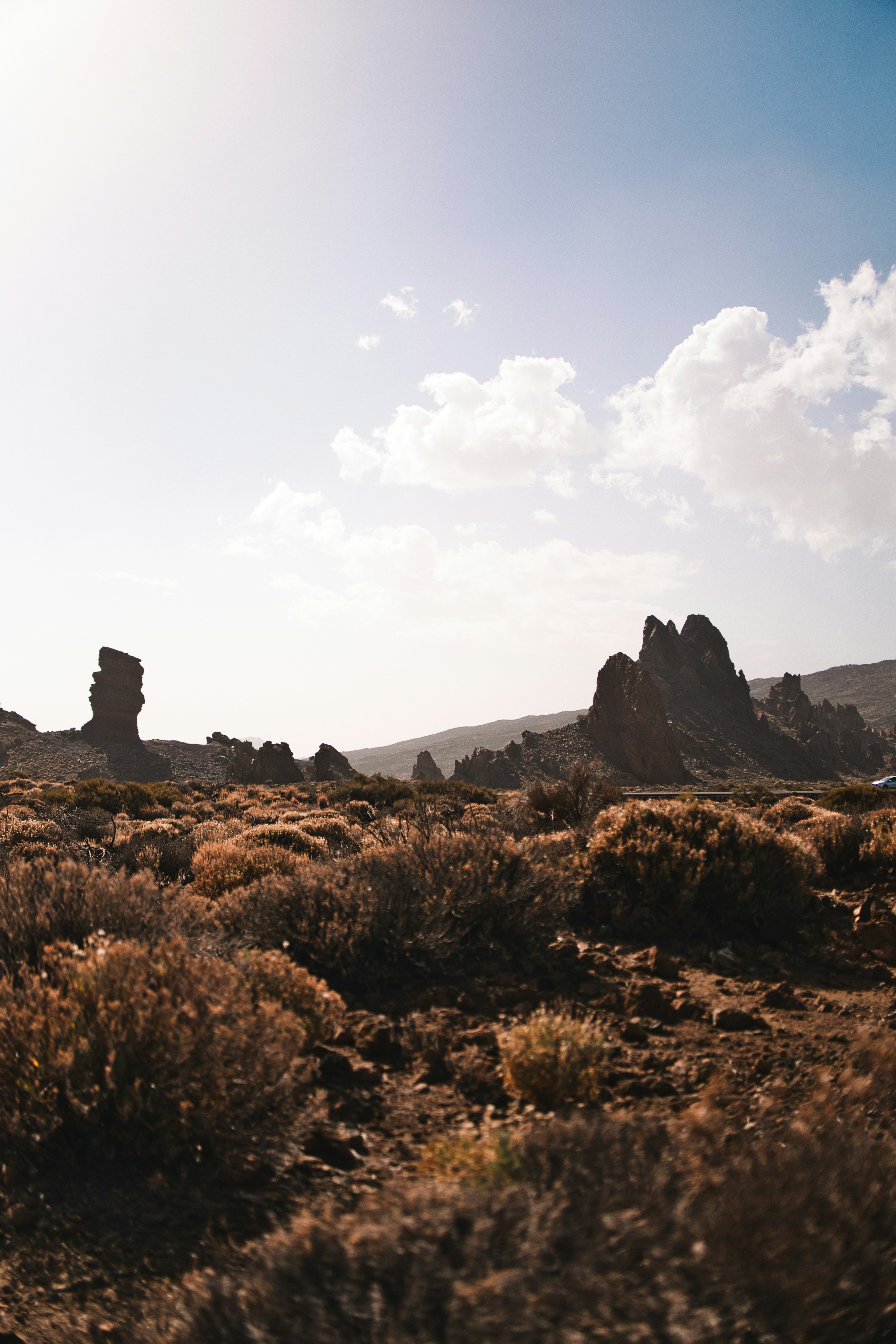 Rocky desert landscape with sparse vegetation under a cloudy sky.