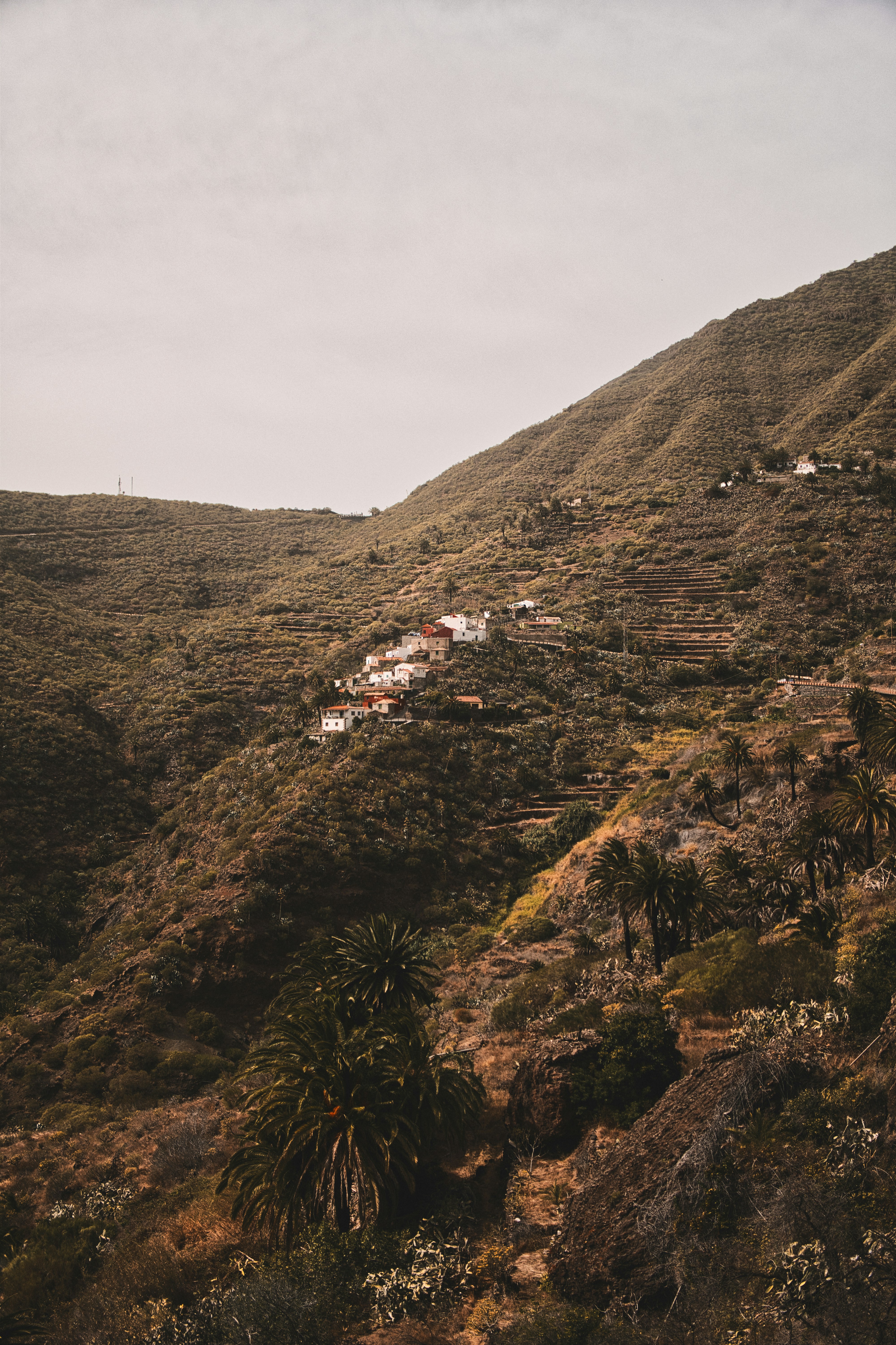 Small village nestled on a terraced mountainside.