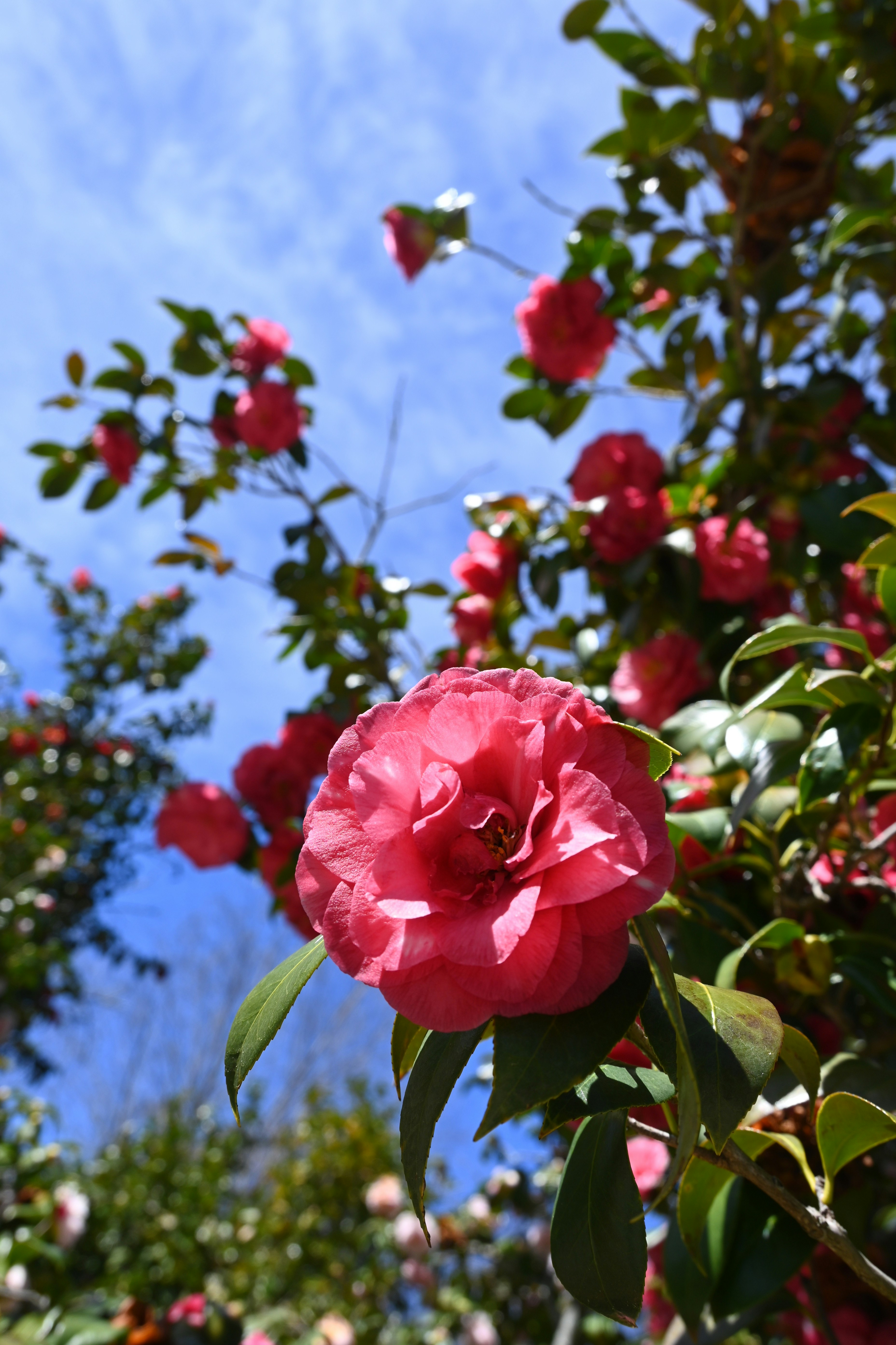 Photo by karolinabobek