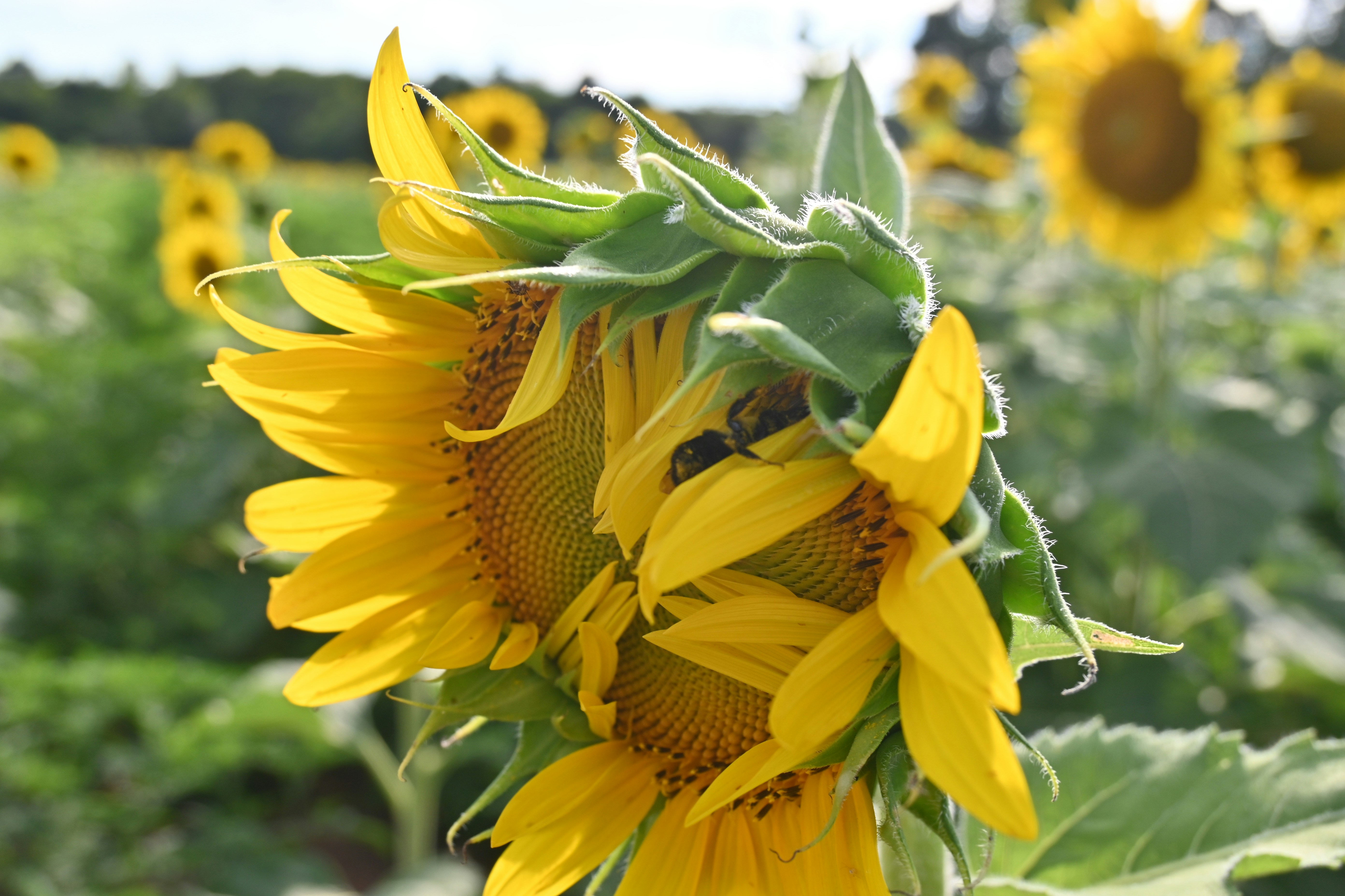 Photo by karolinabobek